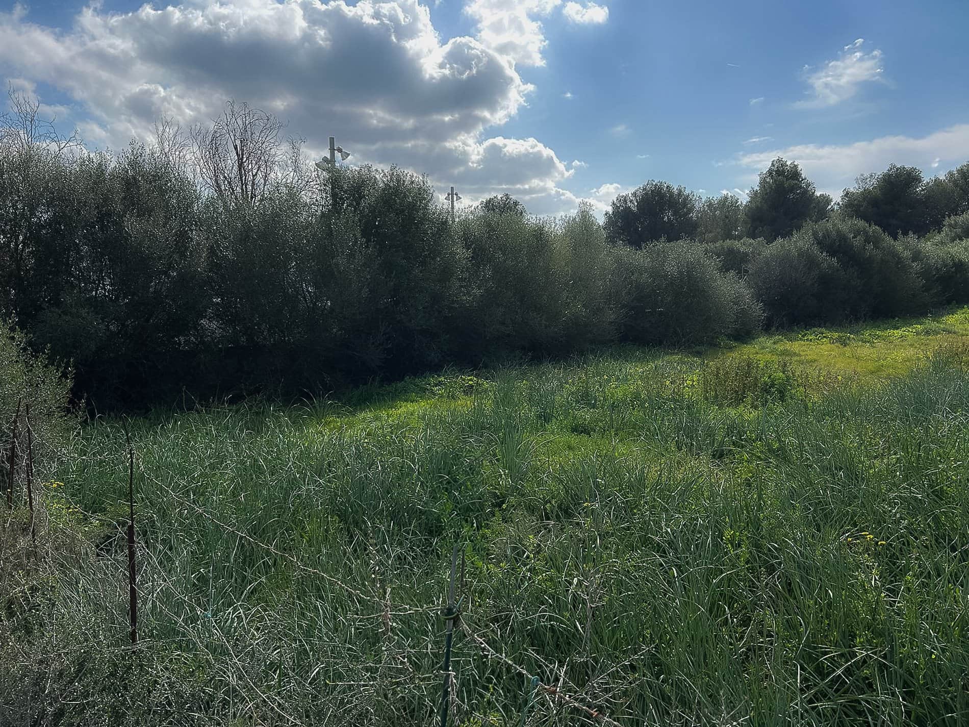 SOLAR EDIFICABLE CAN PICAFORT - Foto 5