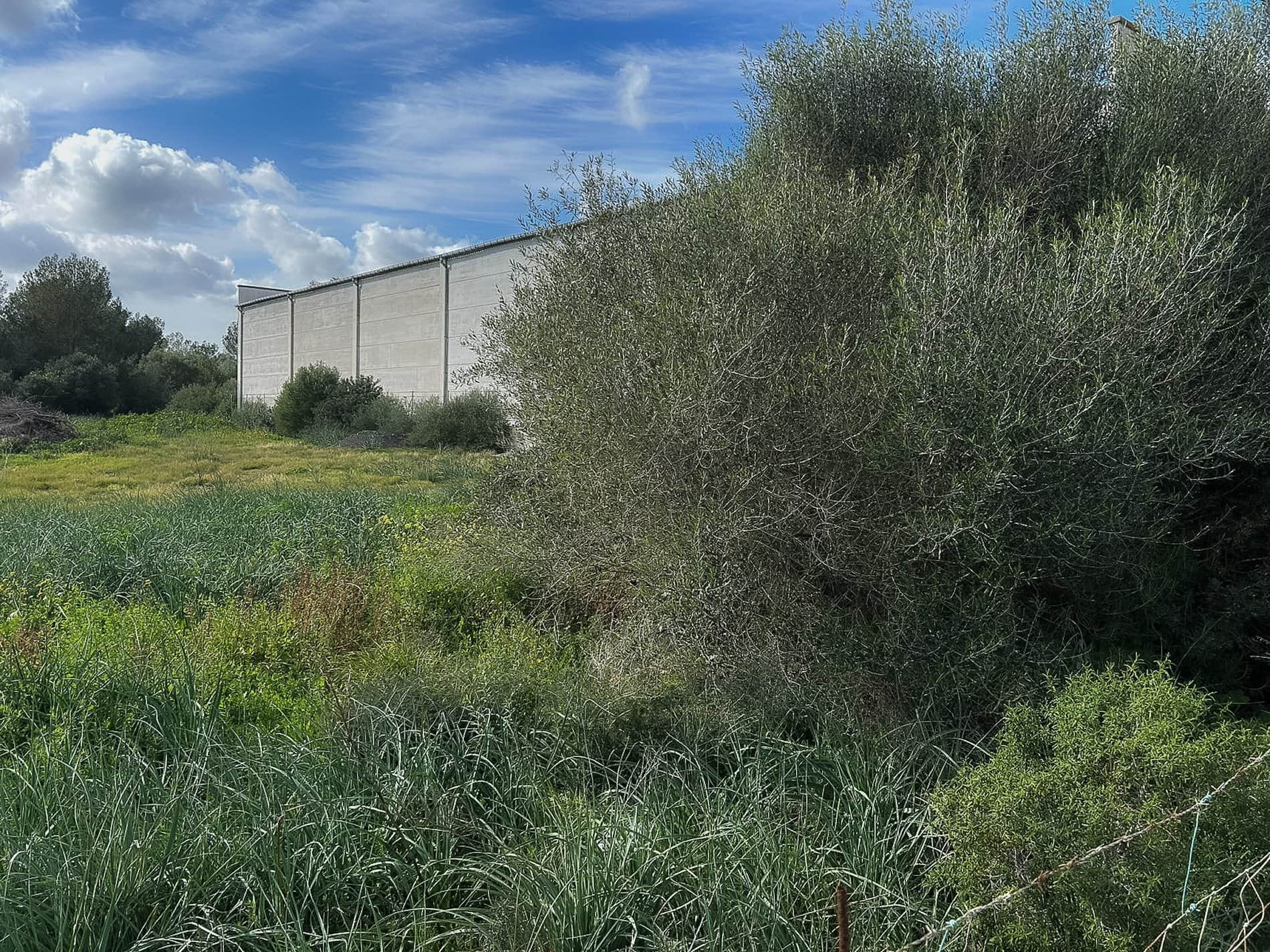 SOLAR EDIFICABLE CAN PICAFORT - Foto 1