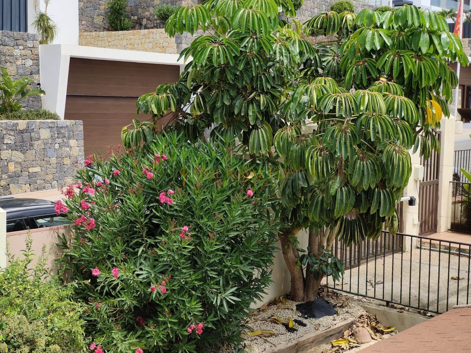 Villa - Calle Paris - Terra Mitica - Finestrat - Foto 2