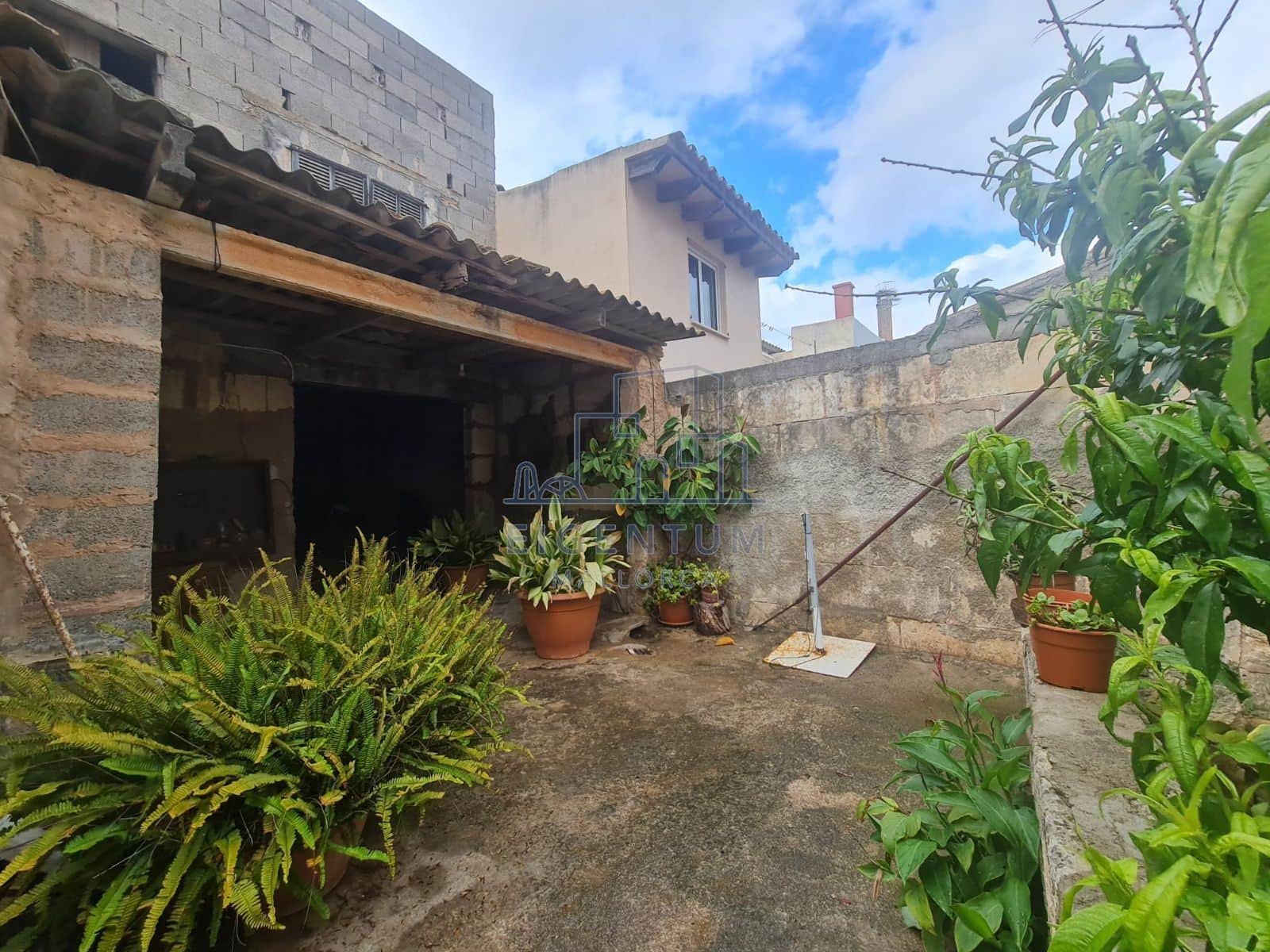 🌟 Encantadora Casa Mallorquina a pasos del centro de Son Servera 🌟 - Foto 5