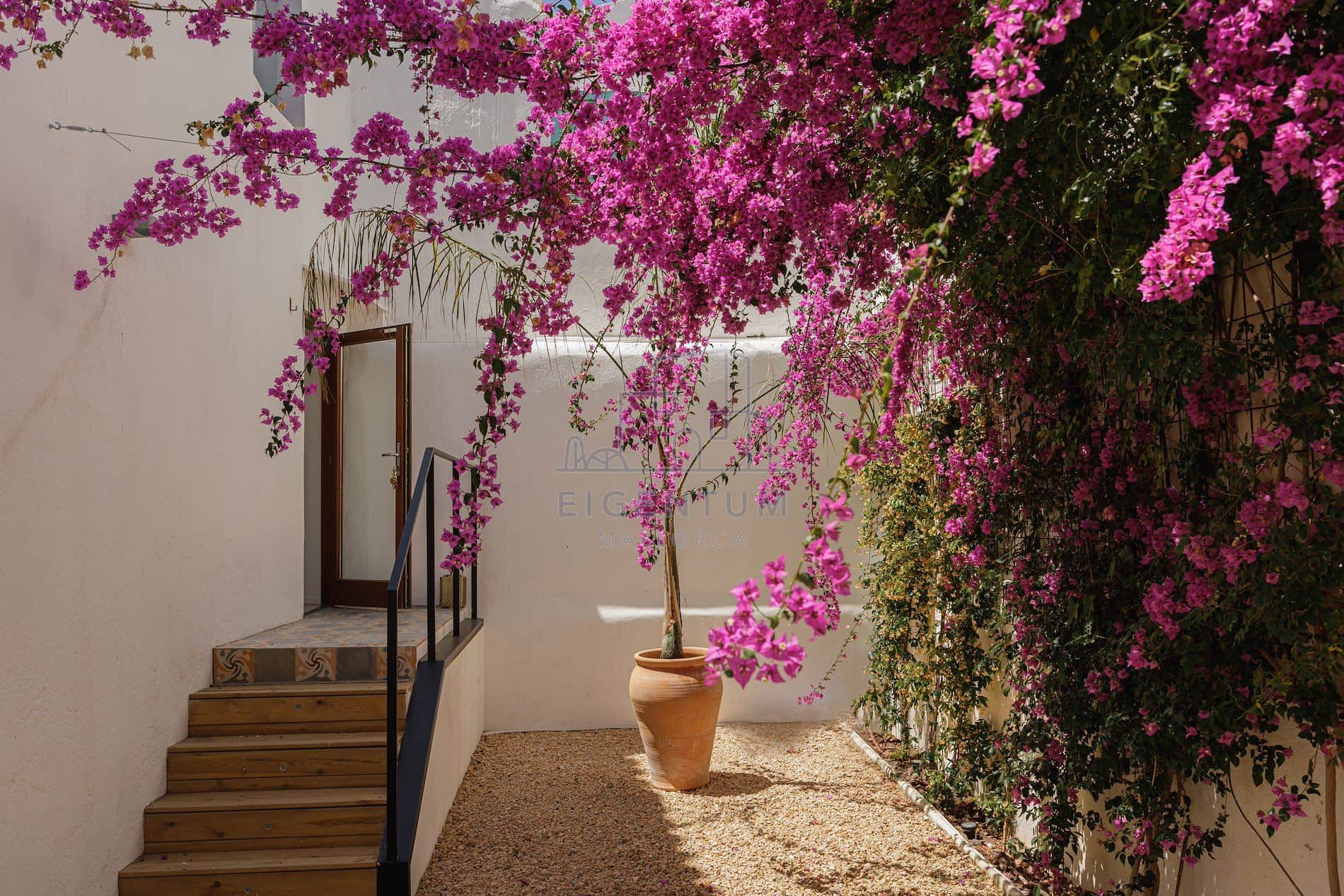 Vida mediterránea en Santa Catalina - Foto 3