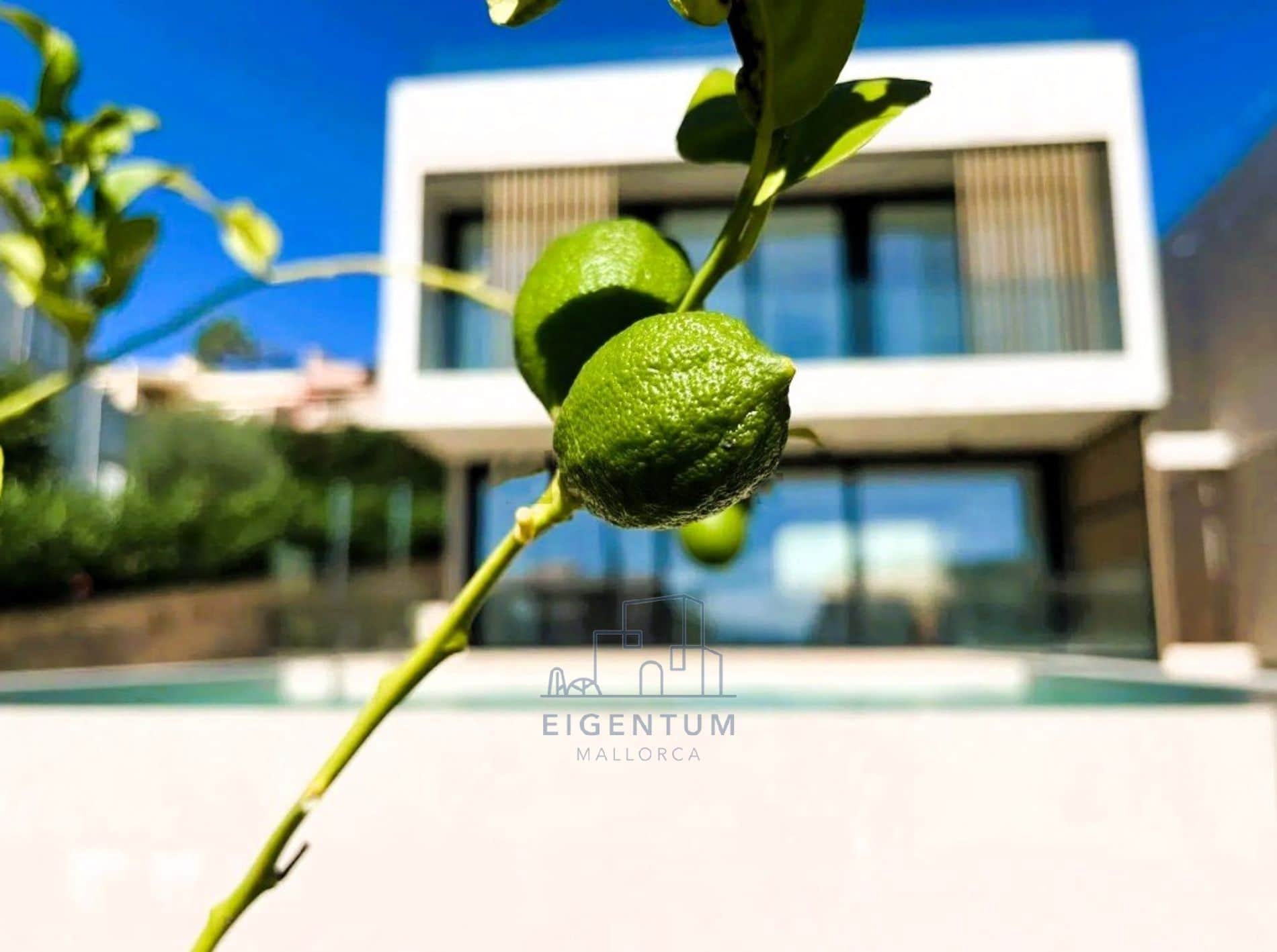 CHALET DE LUJO EN ALCANADA CON PISCINA INFINITA Y VISTAS AL MAR - Foto 3