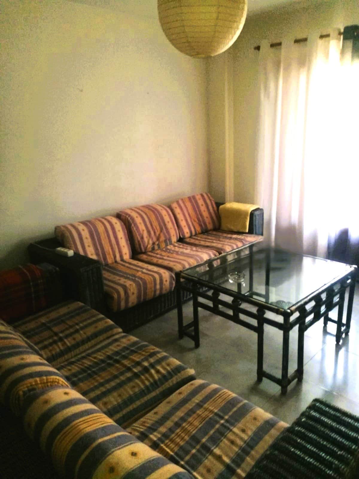 OPORTUNIDAD DE PISO CON TERRAZA  Y PORCHE (con inquilinos) - Foto 5