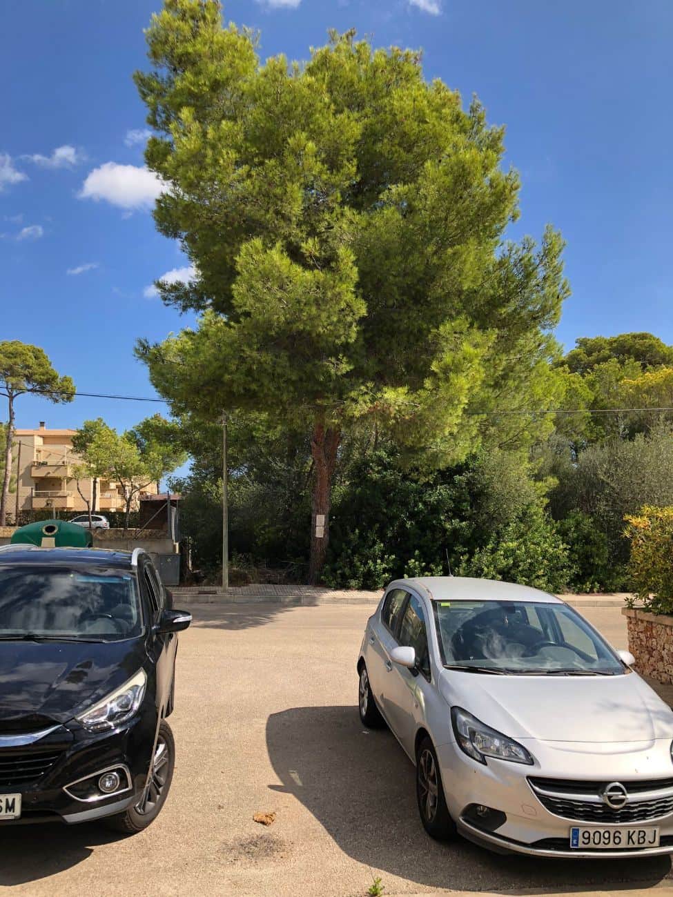 SOLAR EN AVDA. JOAN SERVERA CAMPS DE CALA MILLOR - Foto 5