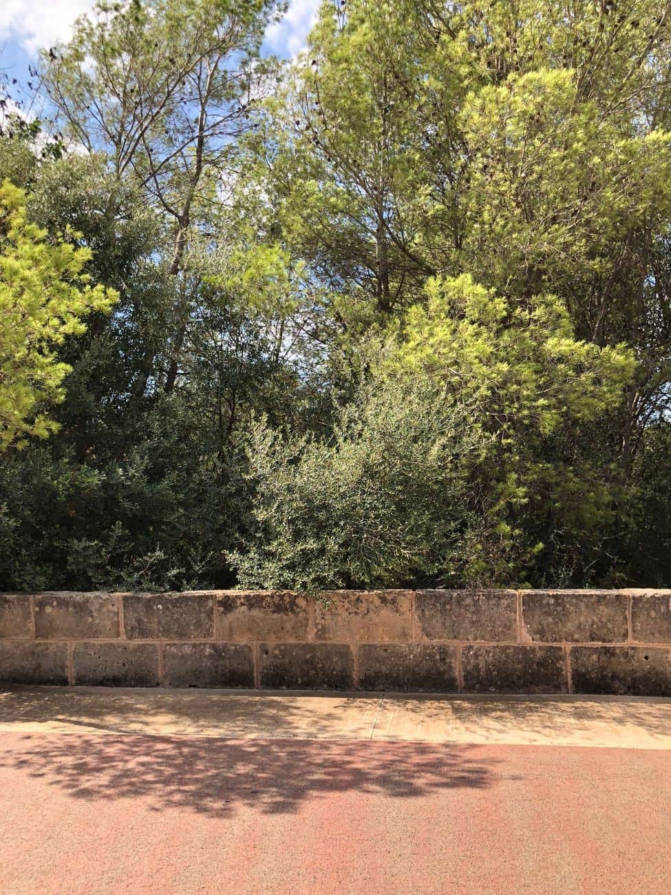 SOLAR EN AVDA. JOAN SERVERA CAMPS DE CALA MILLOR - Foto 4