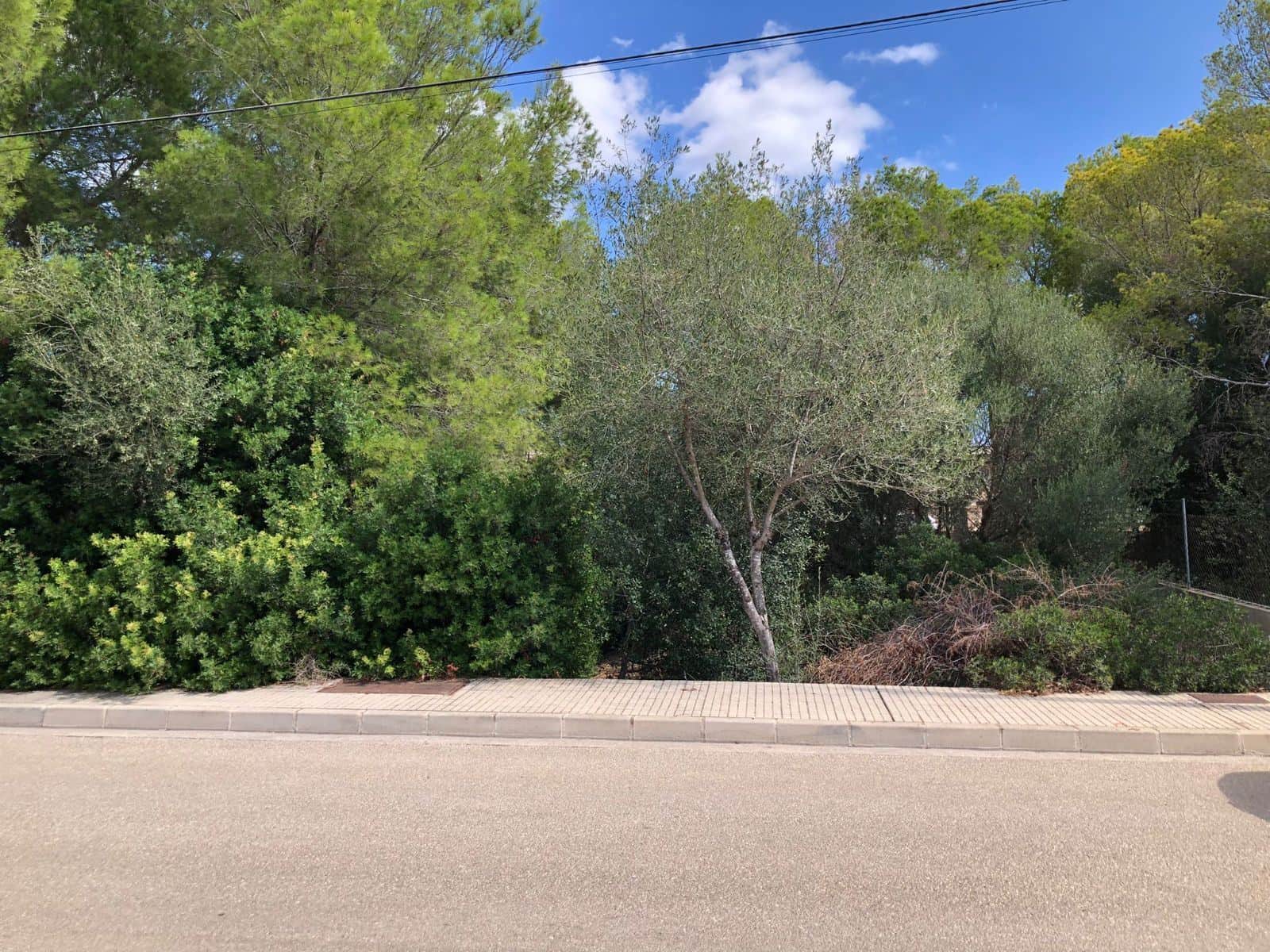 SOLAR EN AVDA. JOAN SERVERA CAMPS DE CALA MILLOR - Foto 2