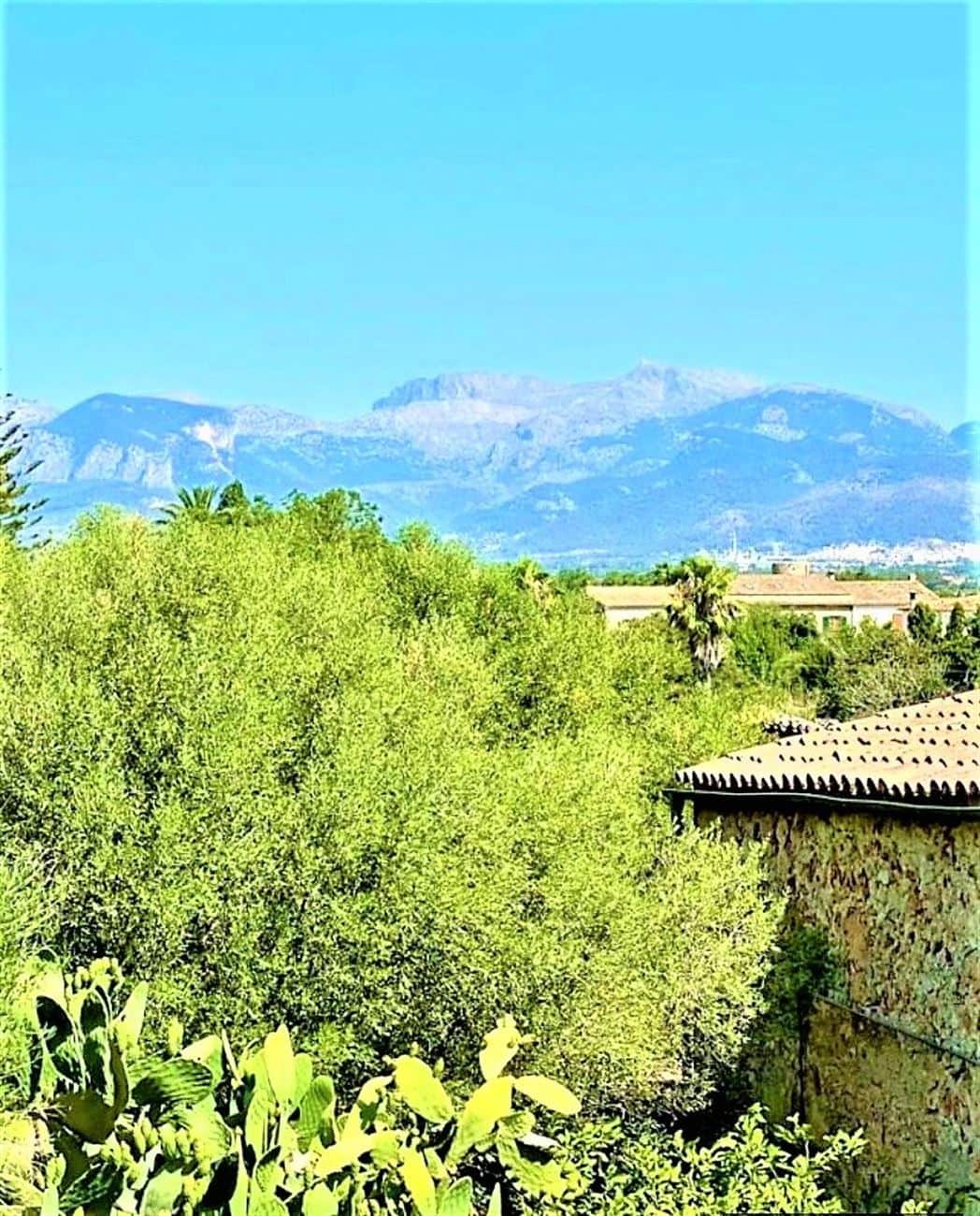 SOLAR URBANO EN SENCELLES  CON MUCHO POTENCIAL . - Foto 2