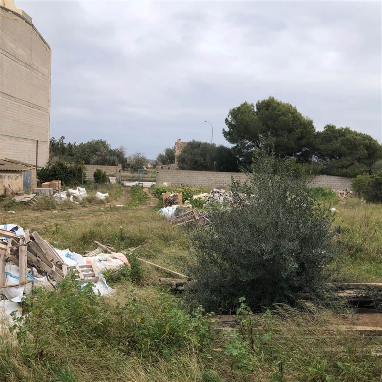 SOLAR EN AVDA. DE LA VIRGEN CAMPOS - Foto 4