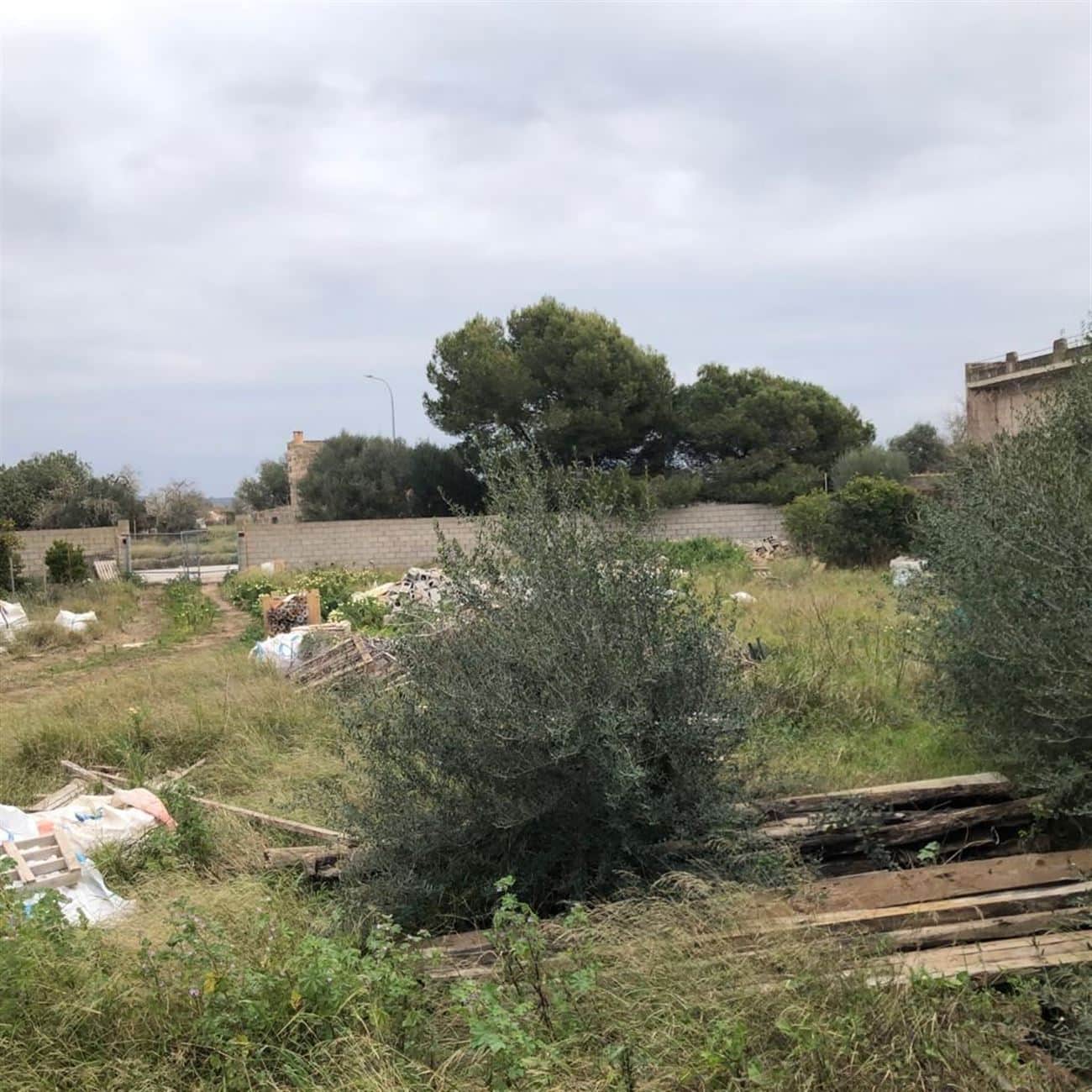 SOLAR EN AVDA. DE LA VIRGEN CAMPOS - Foto 1