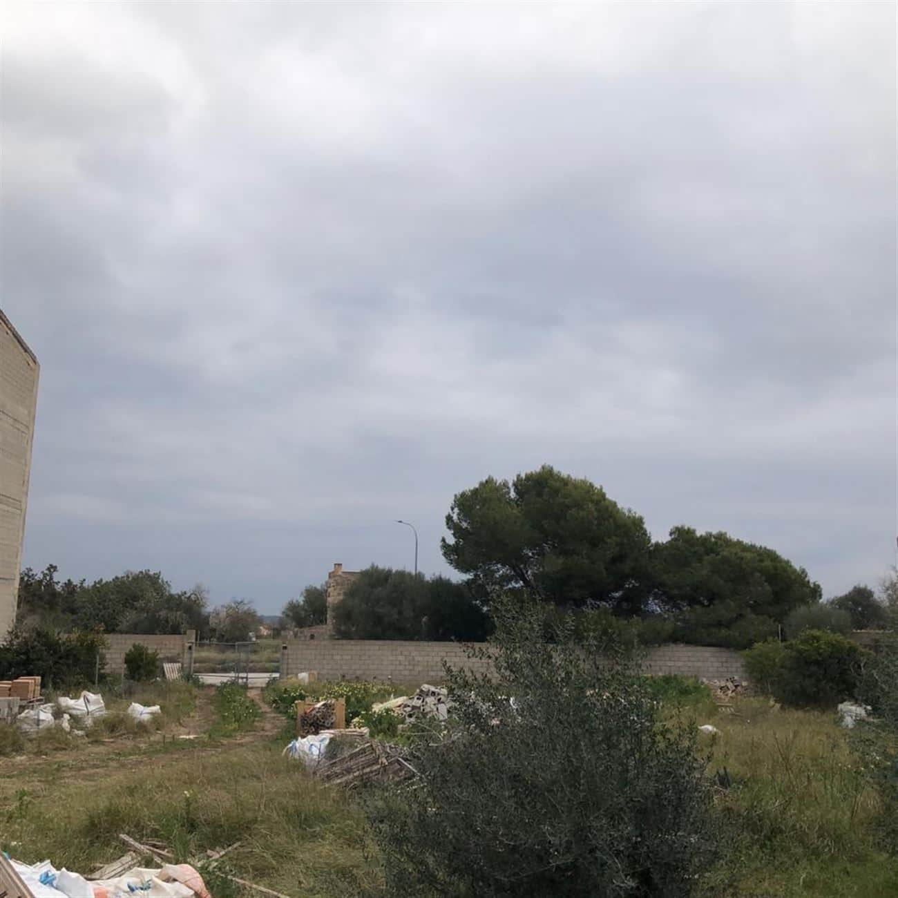 SOLAR EN AVDA. DE LA VIRGEN CAMPOS - Foto 3