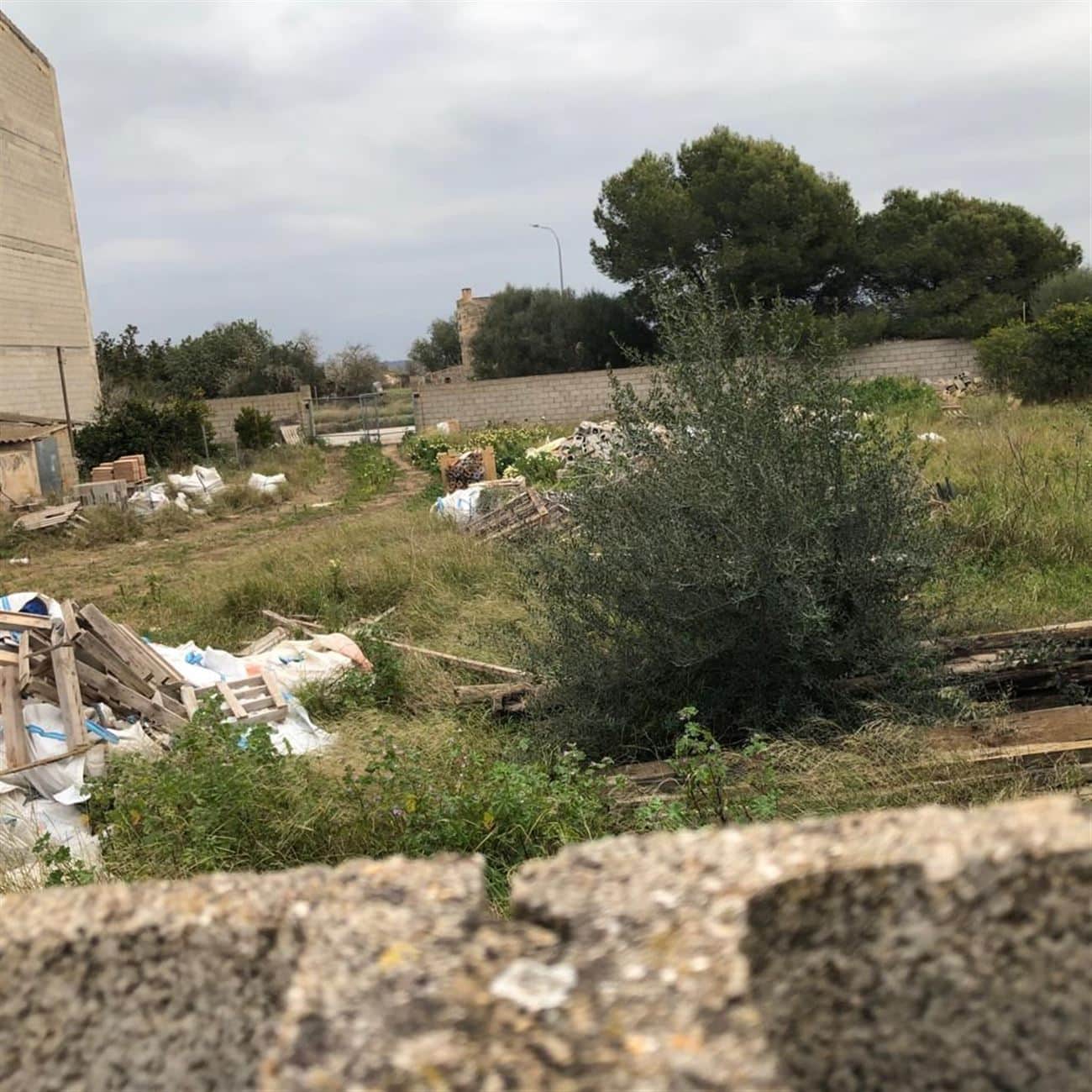 SOLAR EN AVDA. DE LA VIRGEN CAMPOS - Foto 5