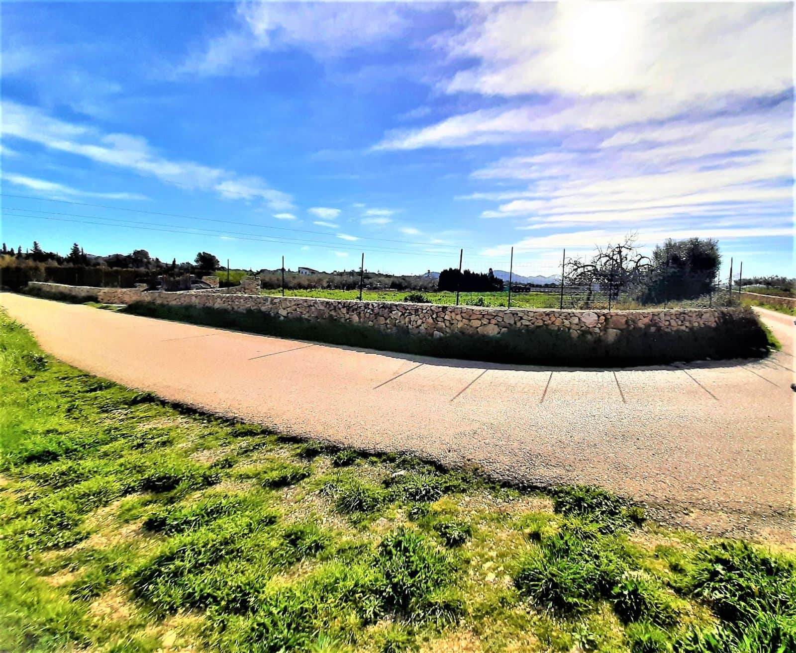 FINCA RUSTICA EN VENTA - Foto 5