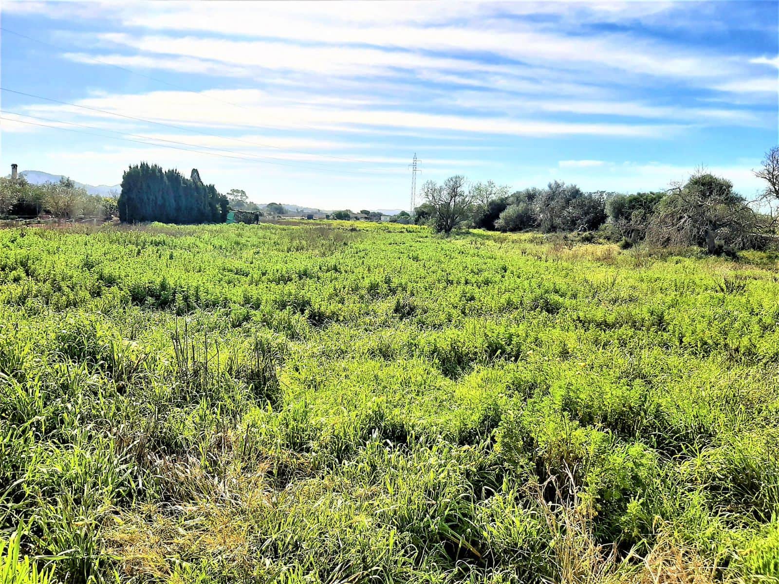 FINCA RUSTICA EN VENTA - Foto 2