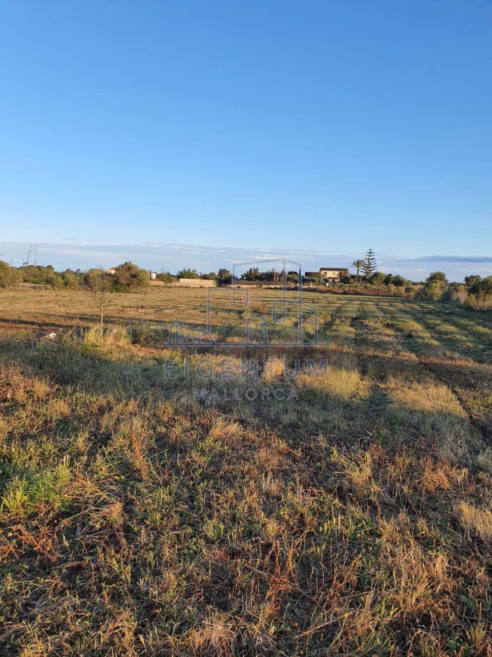 TERRENO CON PROYECTO EN SA MARINETA - Foto 4