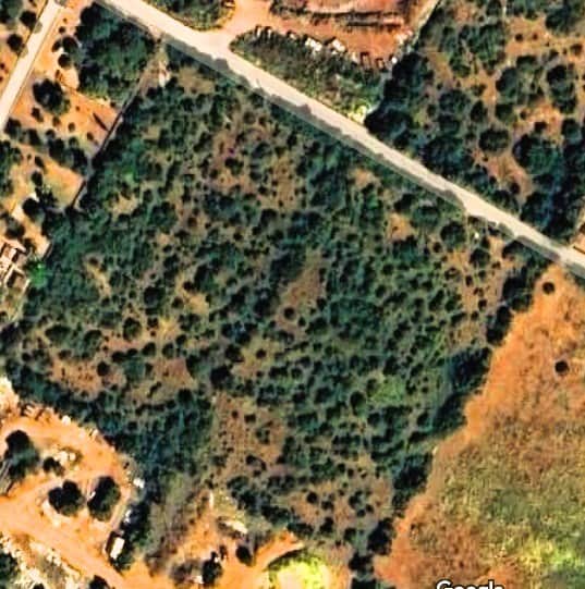 TERRENO RÚSTICO A 1 KM DE LA PLAYA PARA CONSTRUIR UNA VIVIENDA - Foto 1