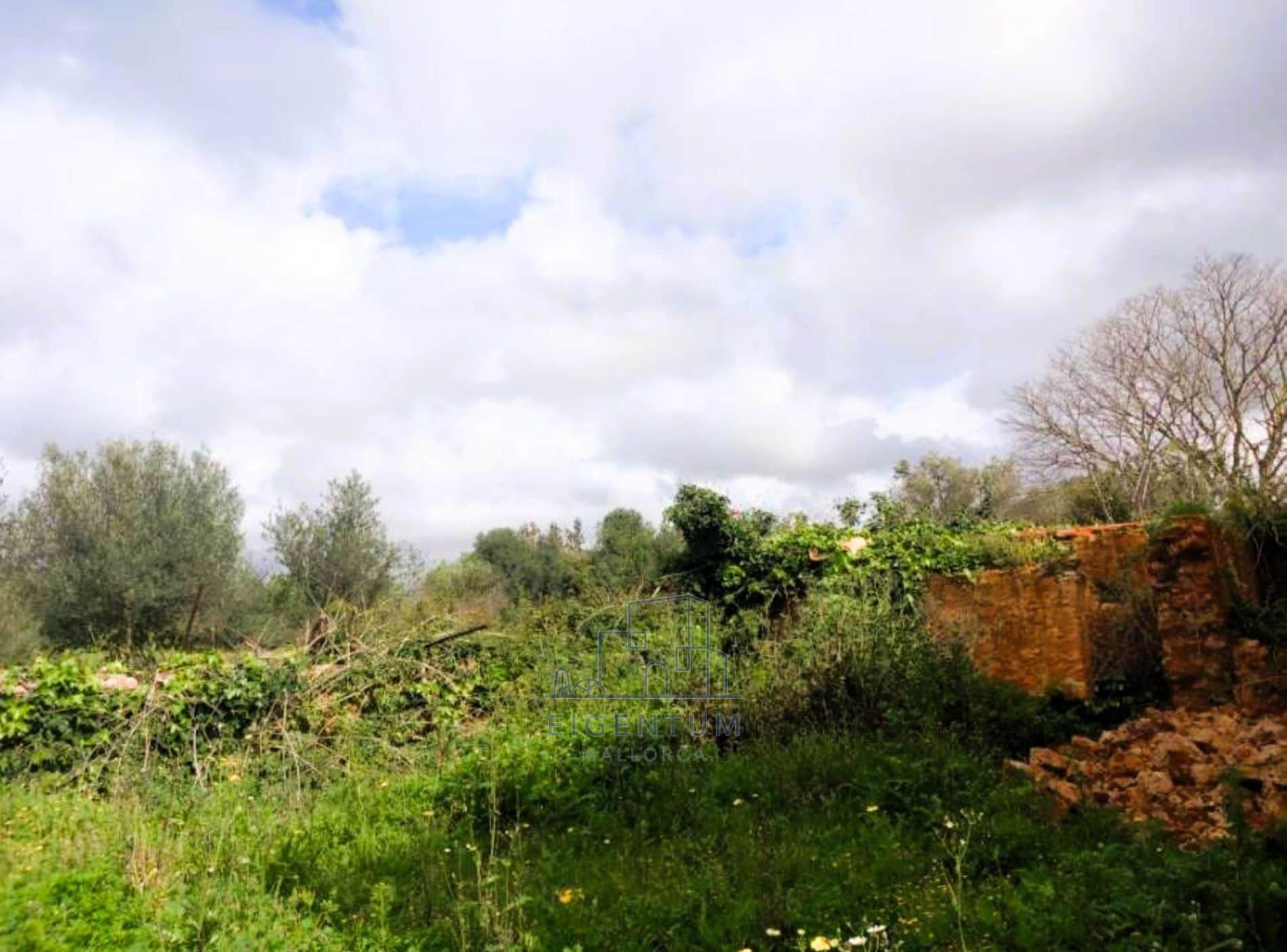 OPORTUNIDAD UNICA EN MALLORCA -CONSELL - Foto 2