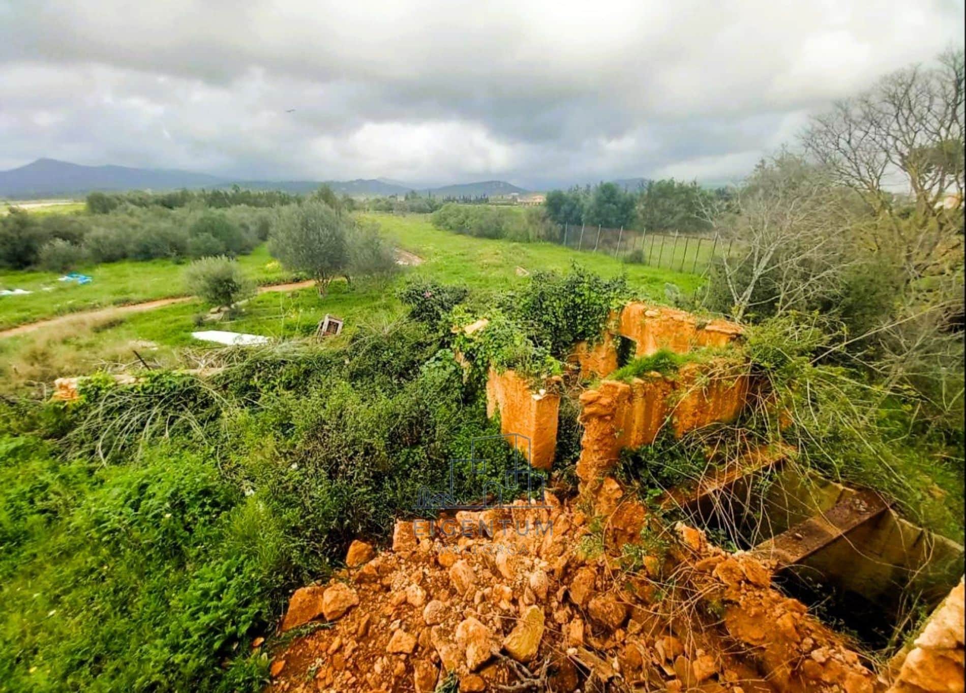 OPORTUNIDAD UNICA EN MALLORCA -CONSELL - Foto 3