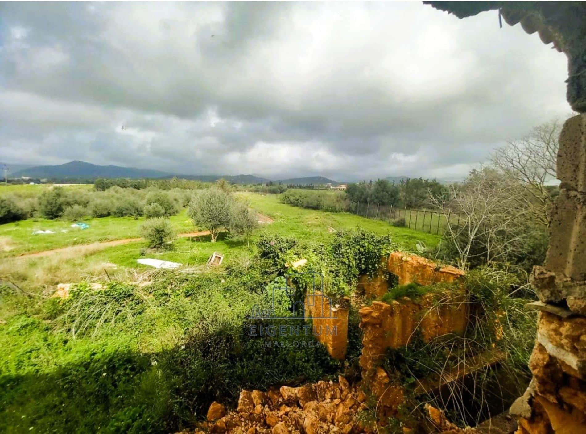 OPORTUNIDAD UNICA EN MALLORCA -CONSELL - Foto 4