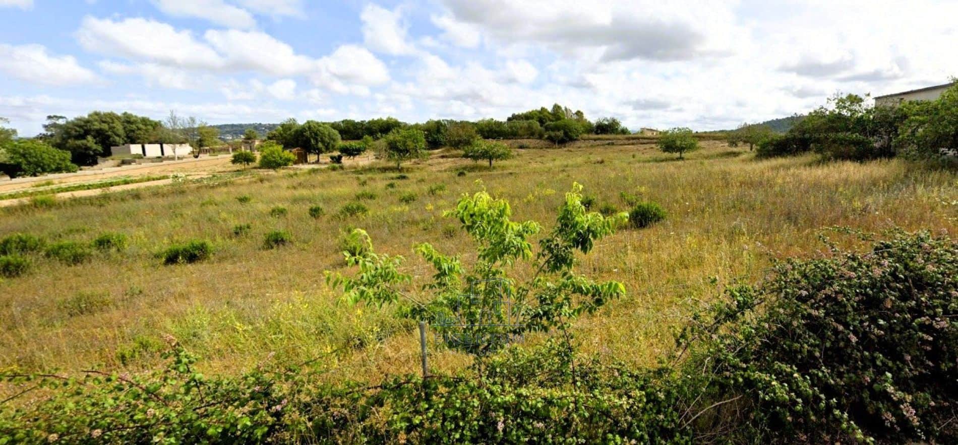 ✨ Exclusiva finca en Manacor ✨ - Foto 2