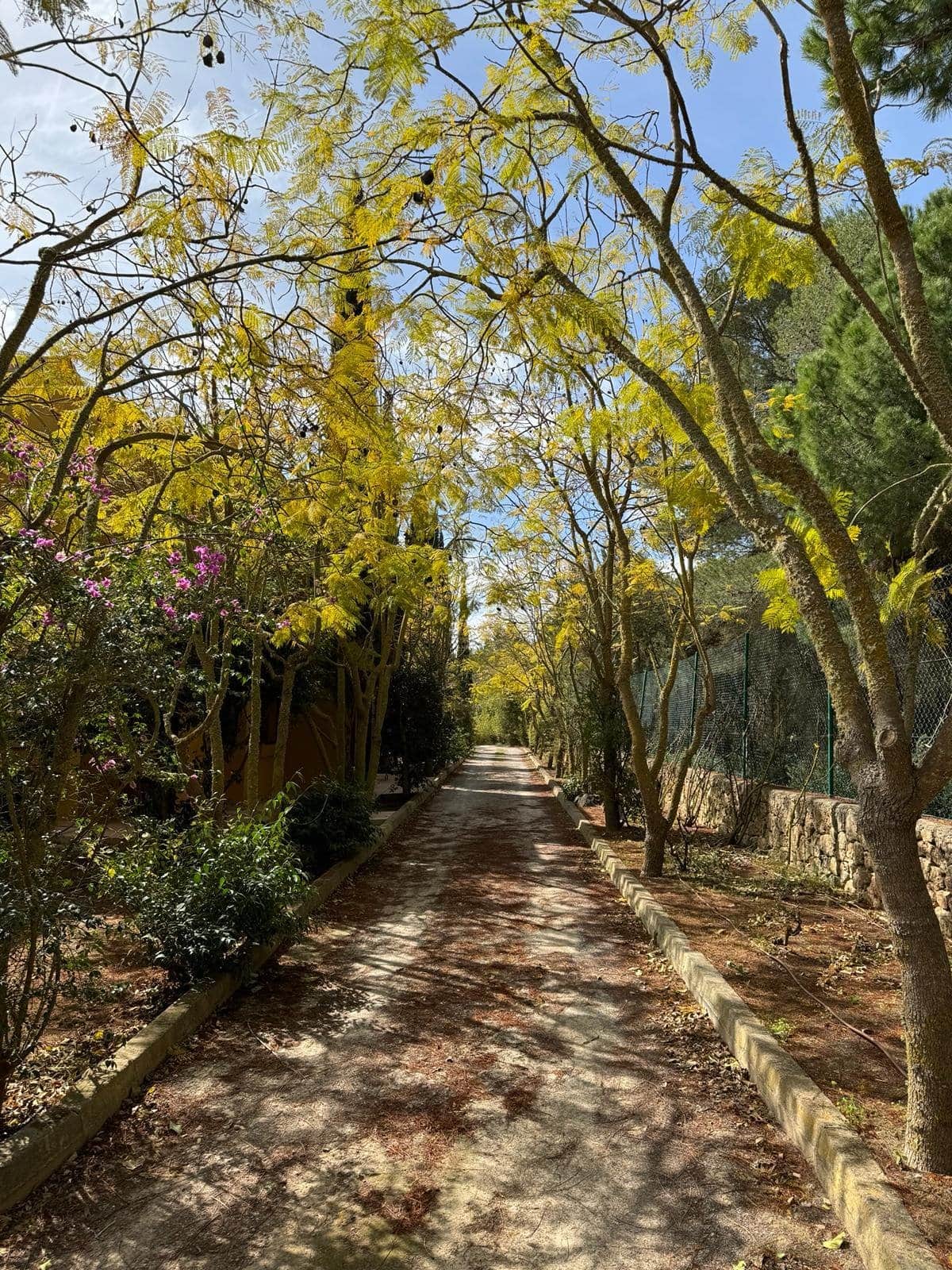 Villa de Lujo en Santa Gertrudis - Foto 2