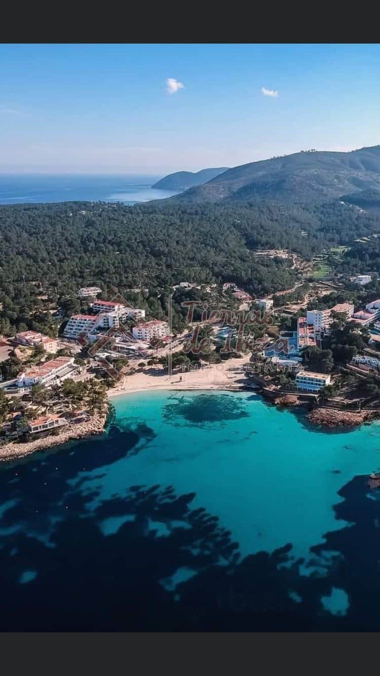 Apartamento en 1º Línea de Mar en Portinax - Foto 1