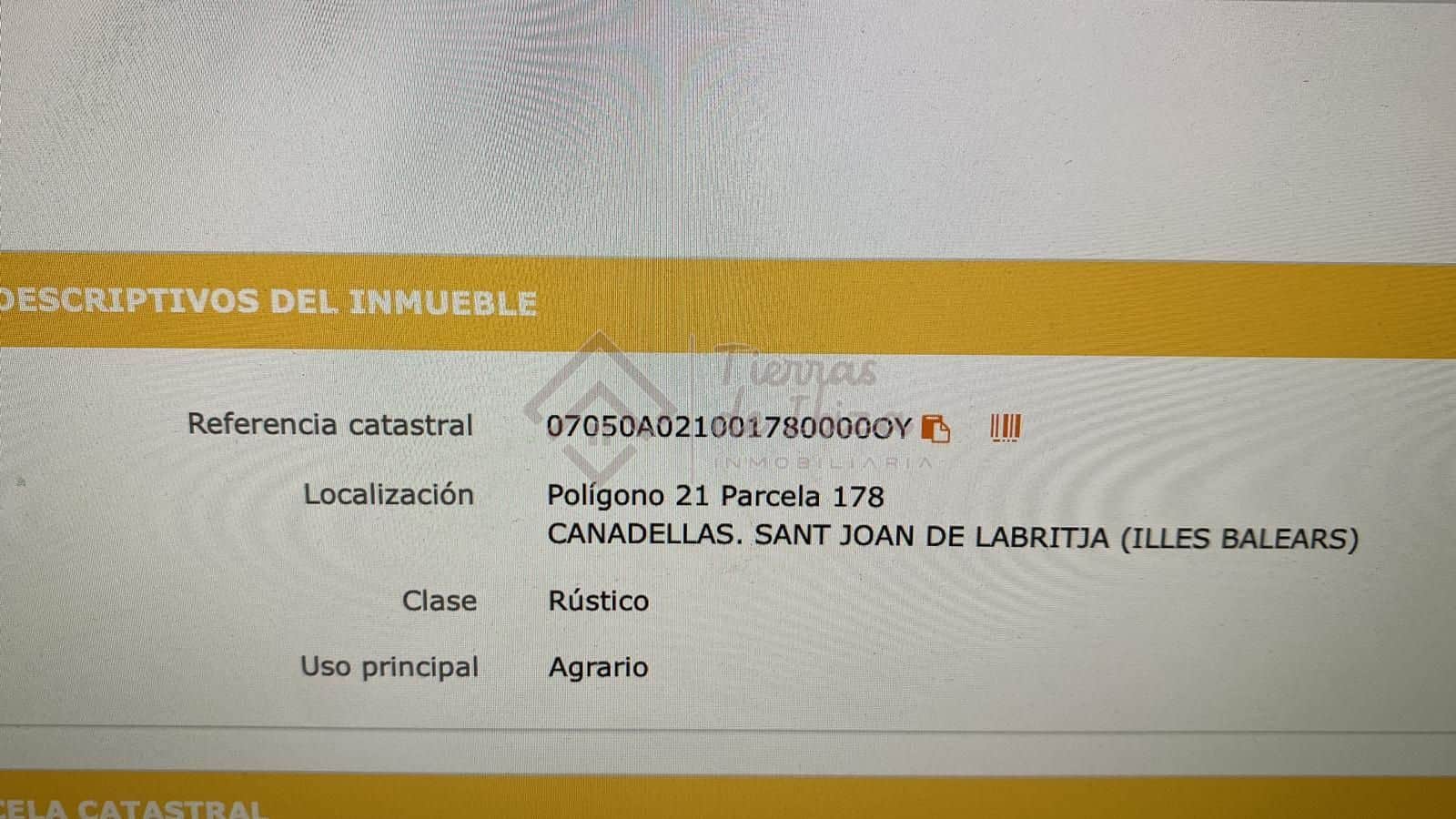 Terreno en San Lorenzo - Foto 3