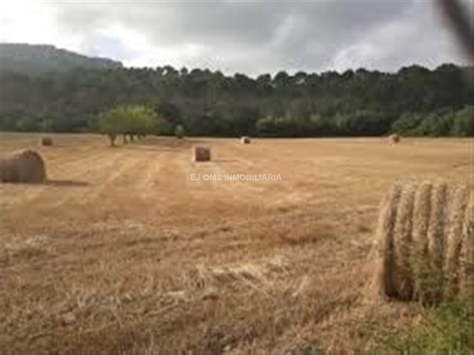 OPORTUNIDAD EN ALGAIDA-SES ROTES!!! - Foto 1