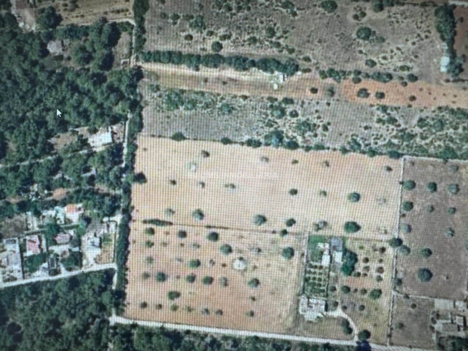 SE VENDE PARCELA/TERRENO CON PROYECTO Y LICENCIA ALGAIDA - Foto 2