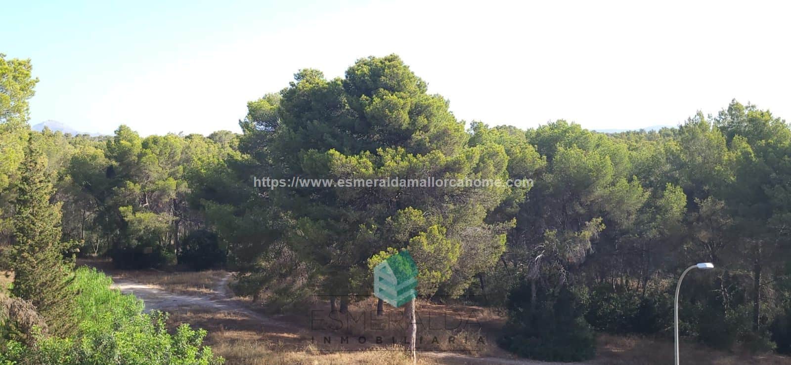 OPORTUNIDAD TERRENO CON CASA EN SANTA PONÇA - Foto 1