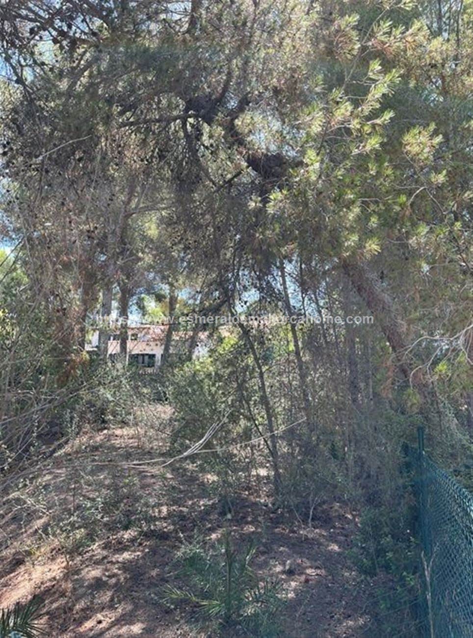 TERRENO DE 1.553 MTS EN SANTA PONÇA - Foto 3