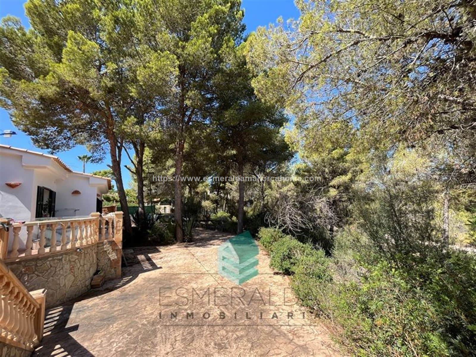 TERRENO DE 1.553 MTS EN SANTA PONÇA - Foto 5