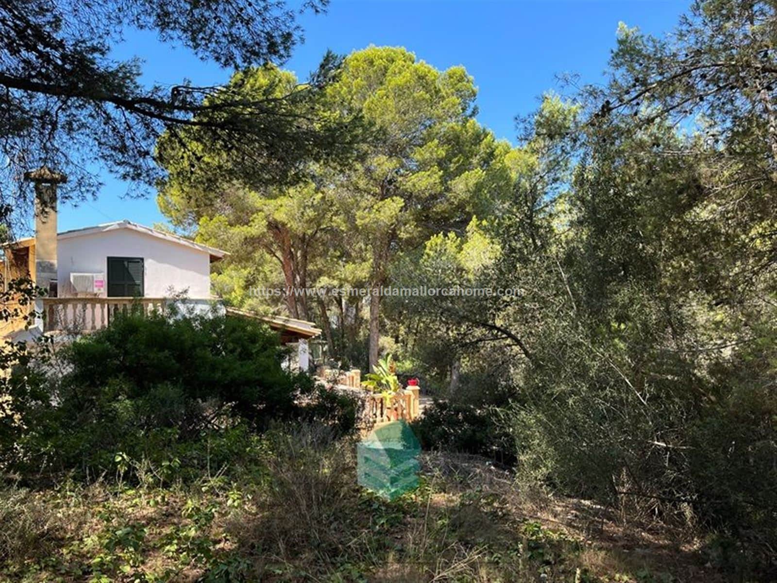 TERRENO DE 1.553 MTS EN SANTA PONÇA - Foto 2