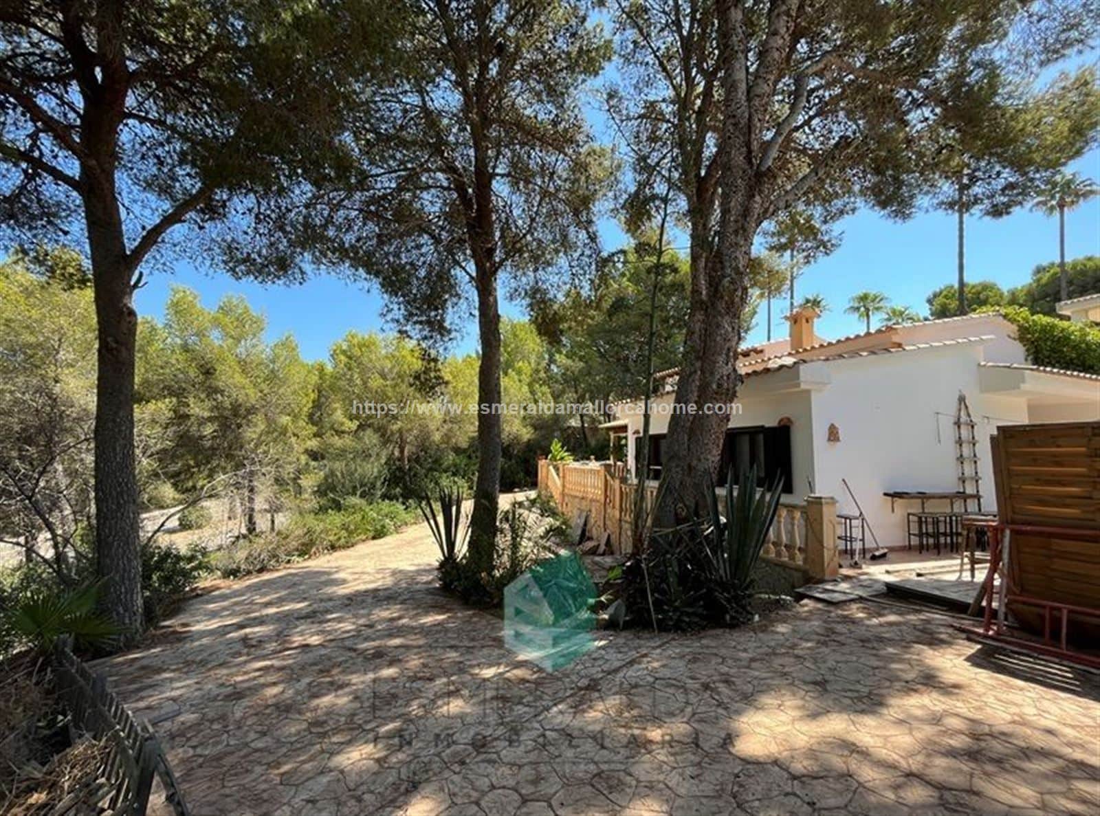 TERRENO DE 1.553 MTS EN SANTA PONÇA - Foto 4