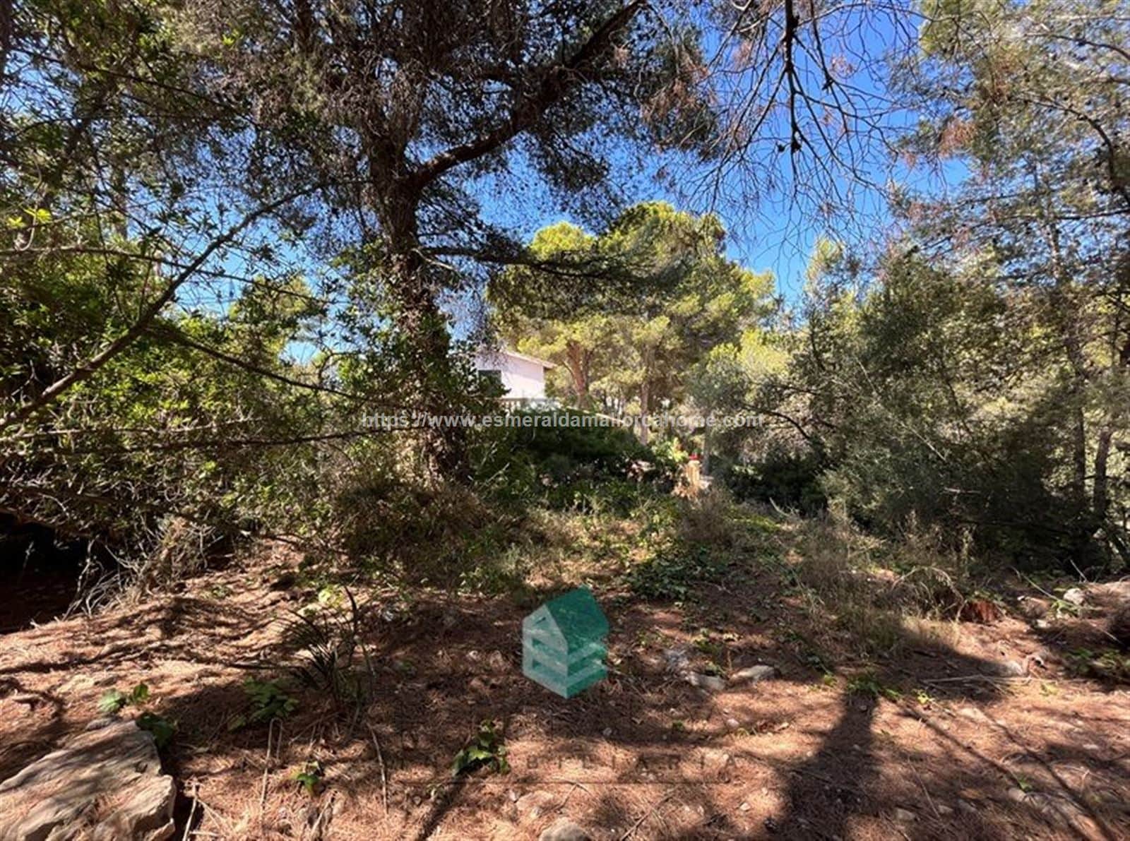 TERRENO DE 1.553 MTS EN SANTA PONÇA - Foto 1