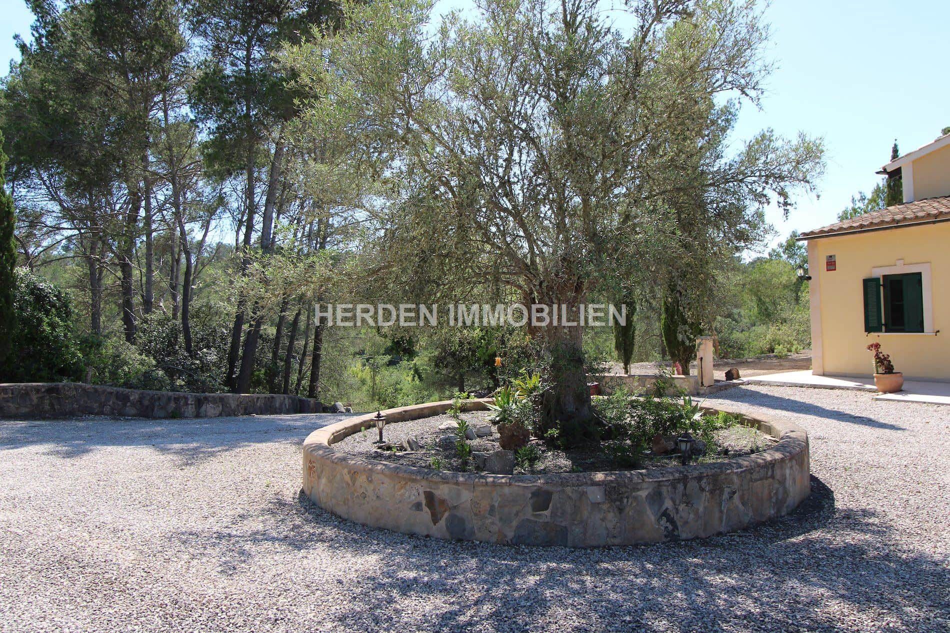 FINCA DE ENSUEÑO EN VENTA EN MONTURI MALLORCA - Foto 4