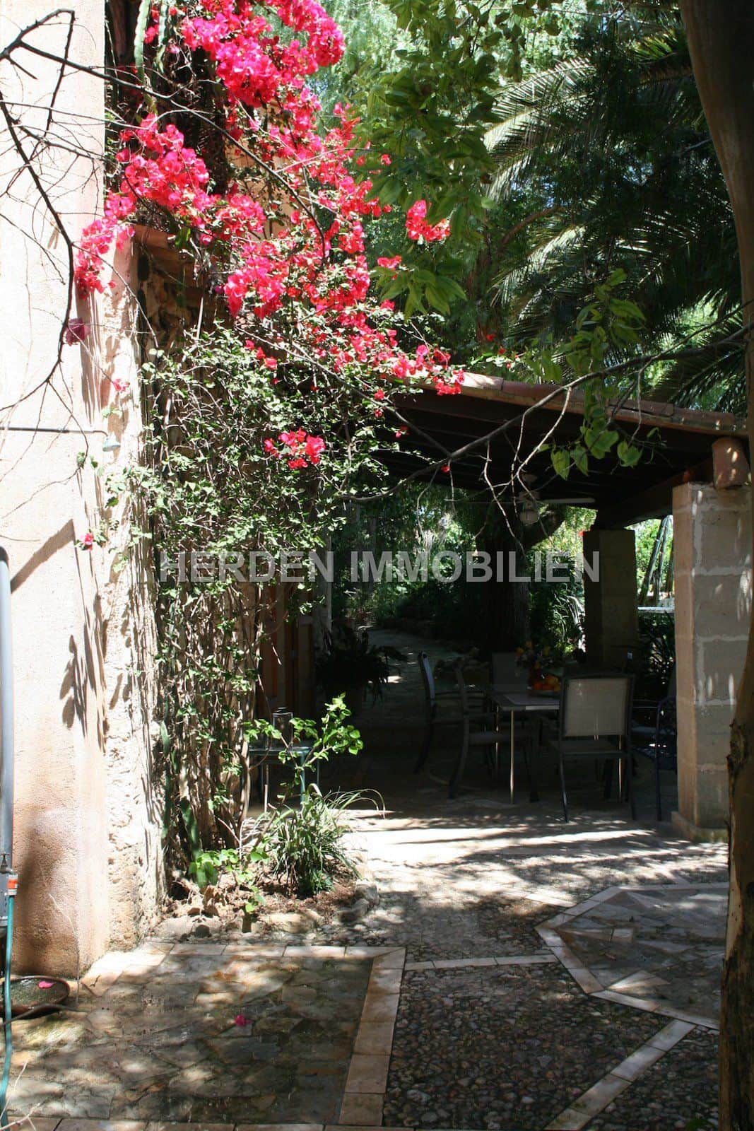 Encantadora Finca con Licencia de Alquiler Vacacional (ETV) cerca de Sa Pobla – Mallorca - Foto 3