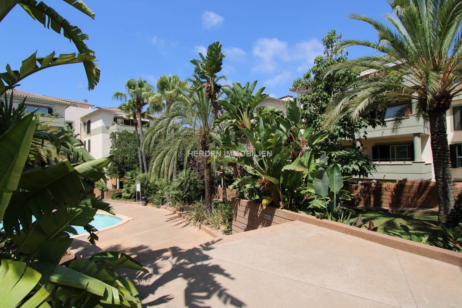 ATICO EN SAN AGUSTIN MALLORCA EN ALQUILER - Foto 3