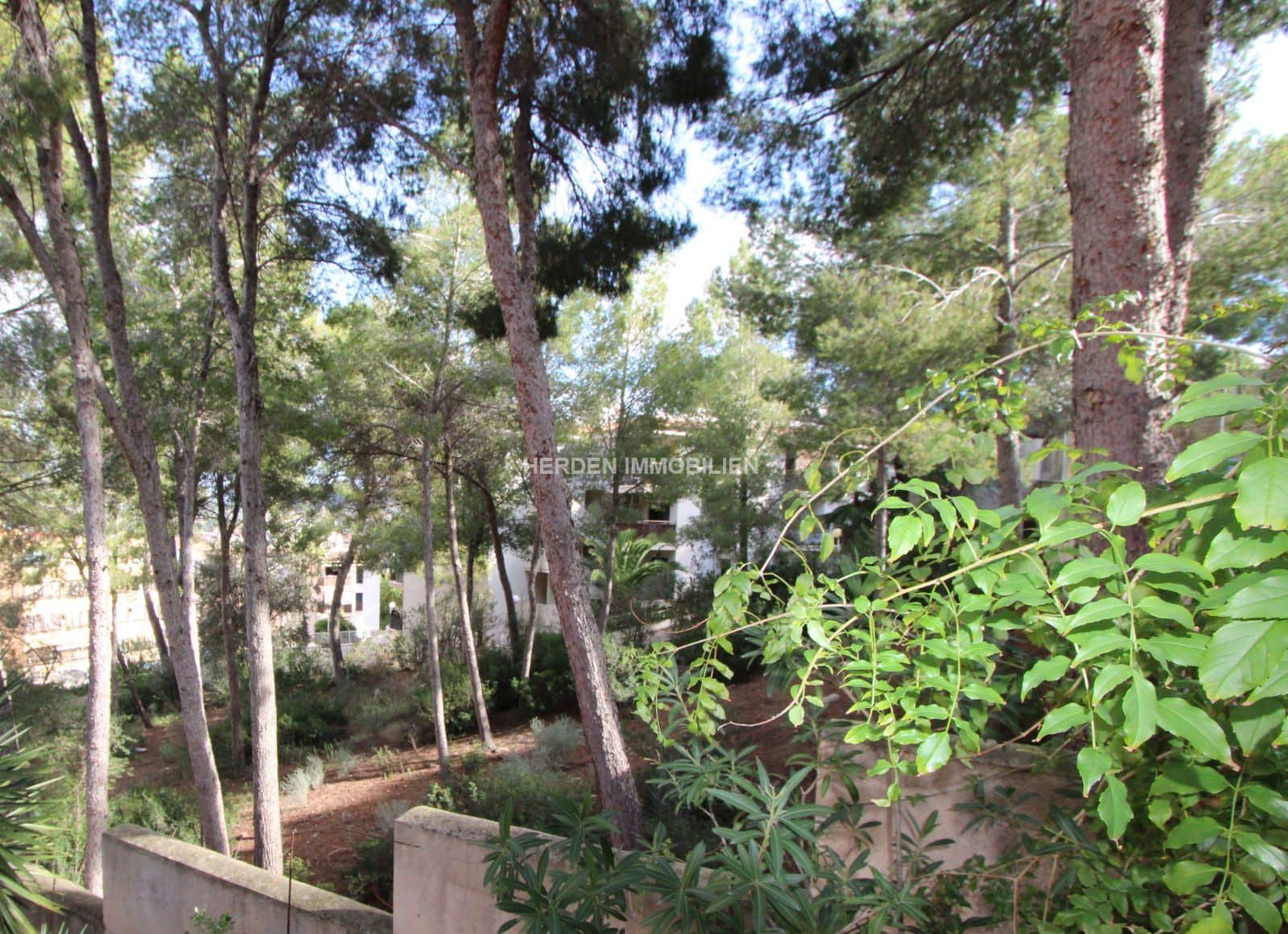 PARCELA EDIFICABLE EN VENTA EN SANTA PONSA MALLORCA - Foto 1