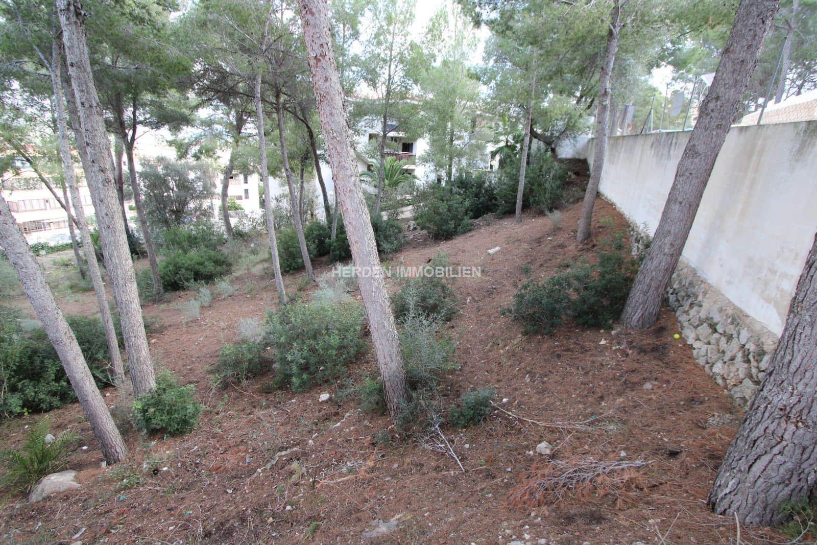 PARCELA EDIFICABLE EN VENTA EN SANTA PONSA MALLORCA - Foto 4