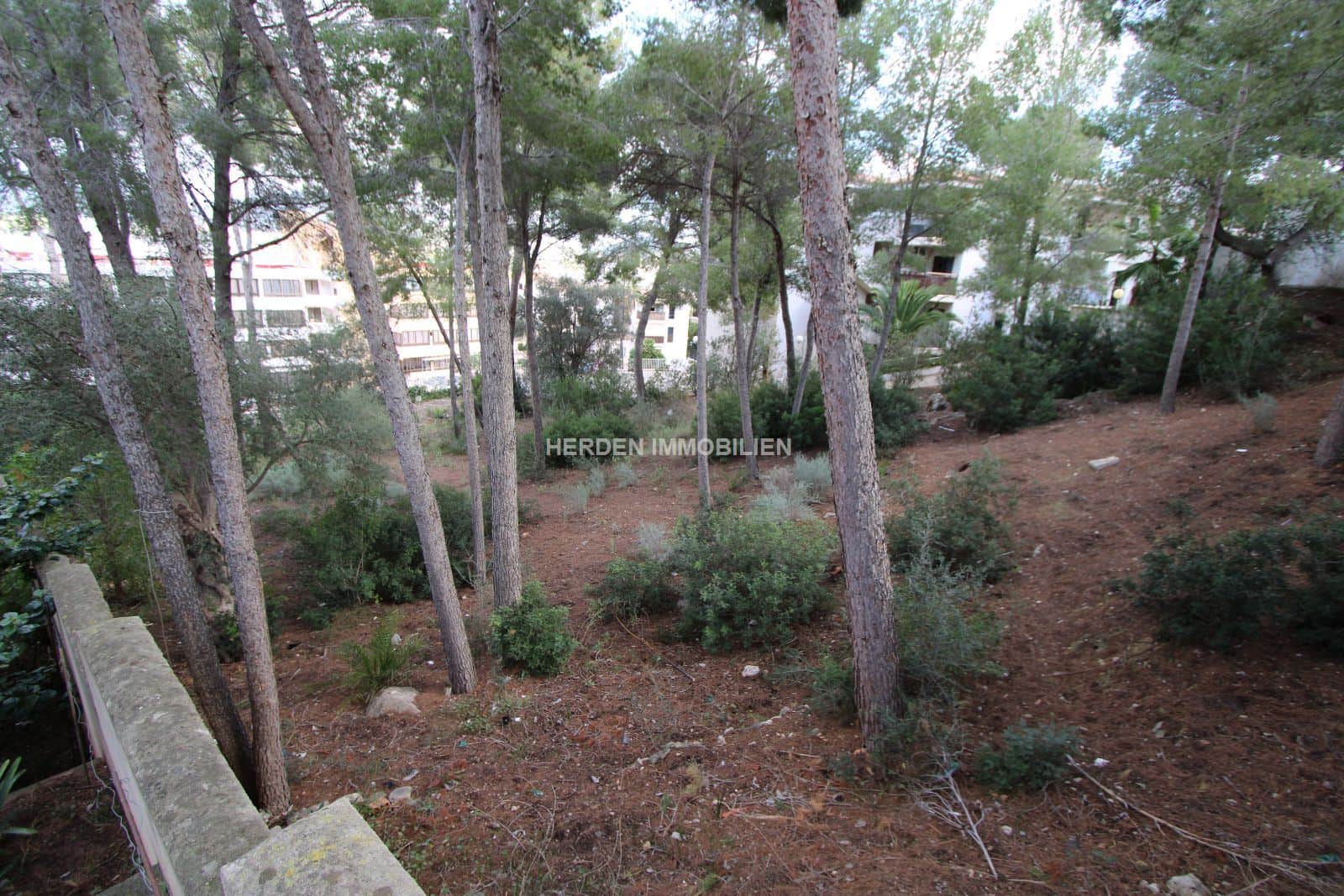 PARCELA EDIFICABLE EN VENTA EN SANTA PONSA MALLORCA - Foto 5
