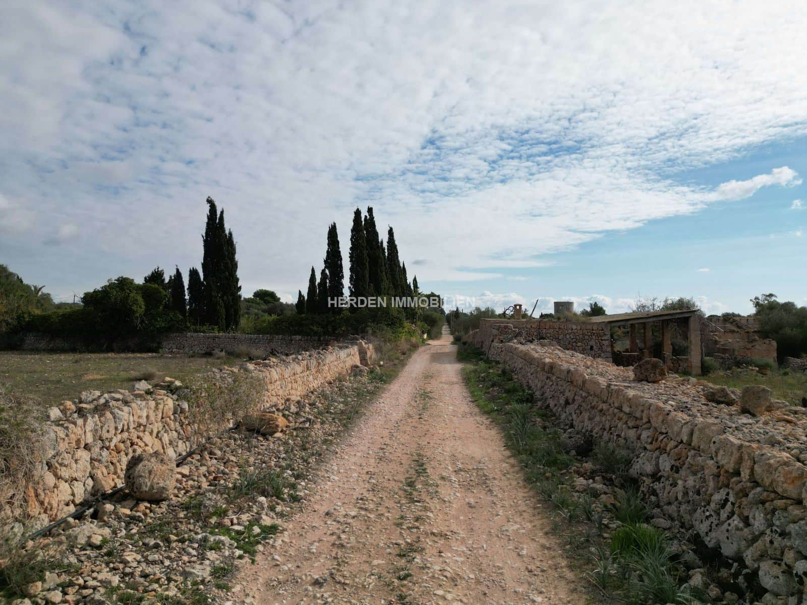 TERRENO EDIFICABLE EN LLUCMAJOR EN VENTA - Foto 1