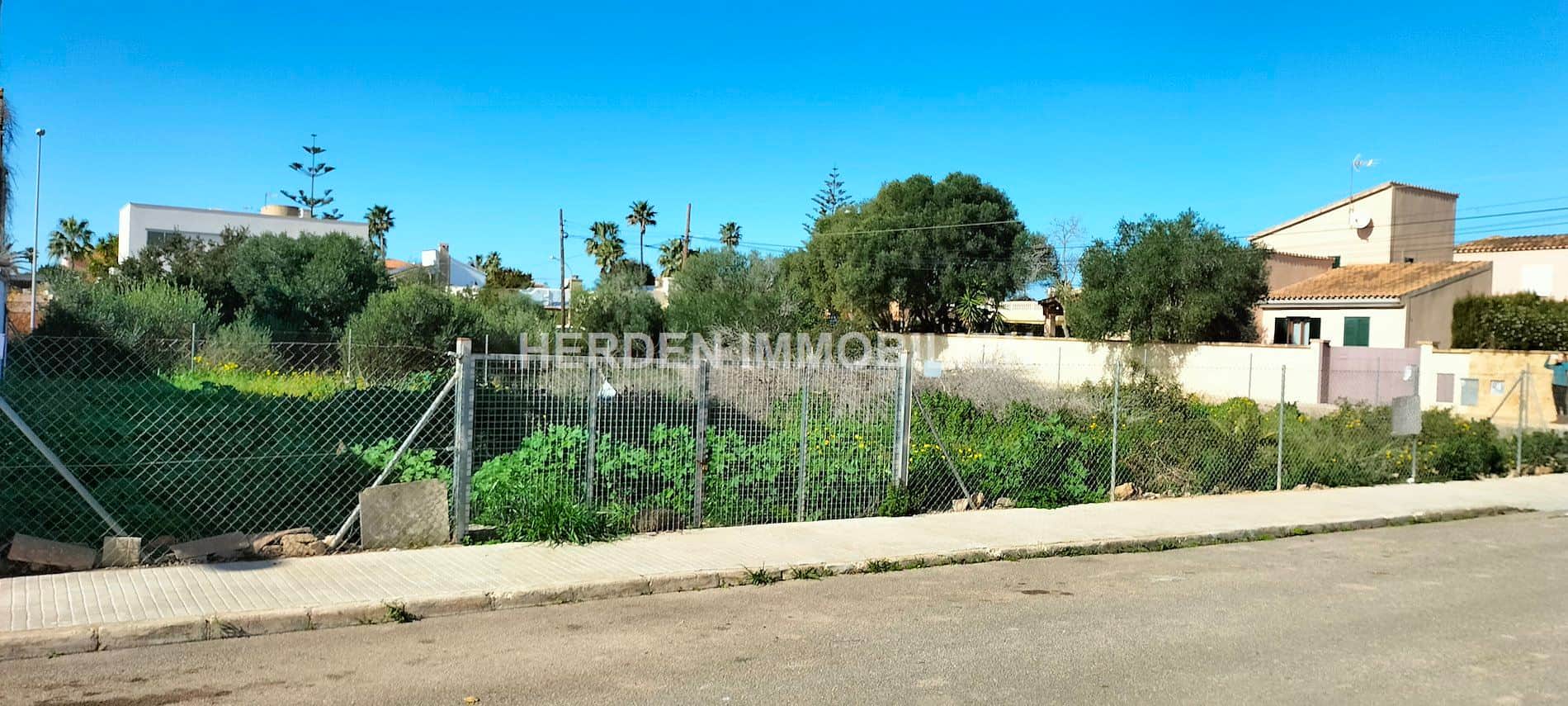 TERRENO EDIFICABLE BAHIA GRANDE LLUCMAJOR MALLORCA EN VENTA - Foto 4