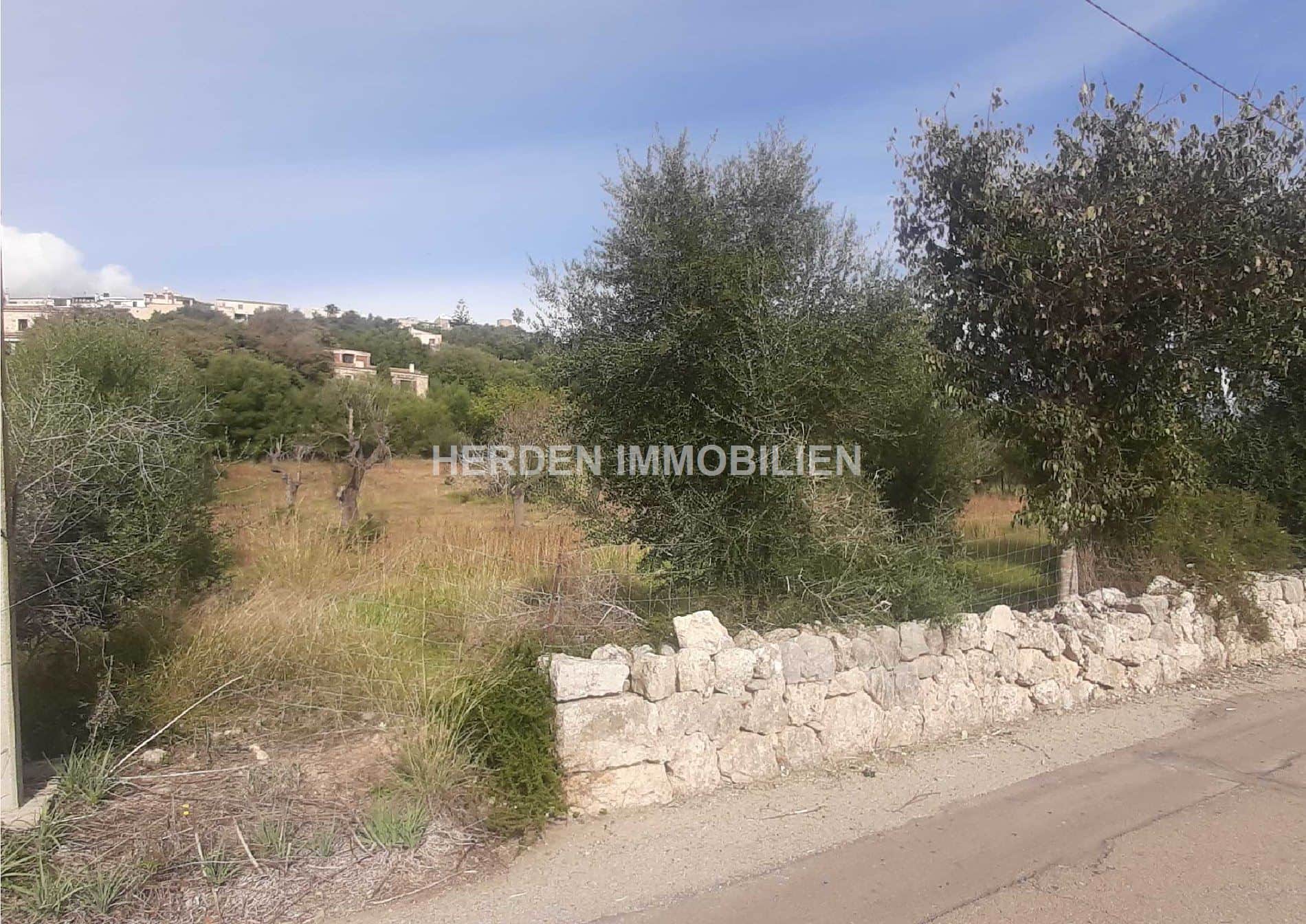 TERRENO EN BUGER MALLORCA EN VENTA - Foto 1