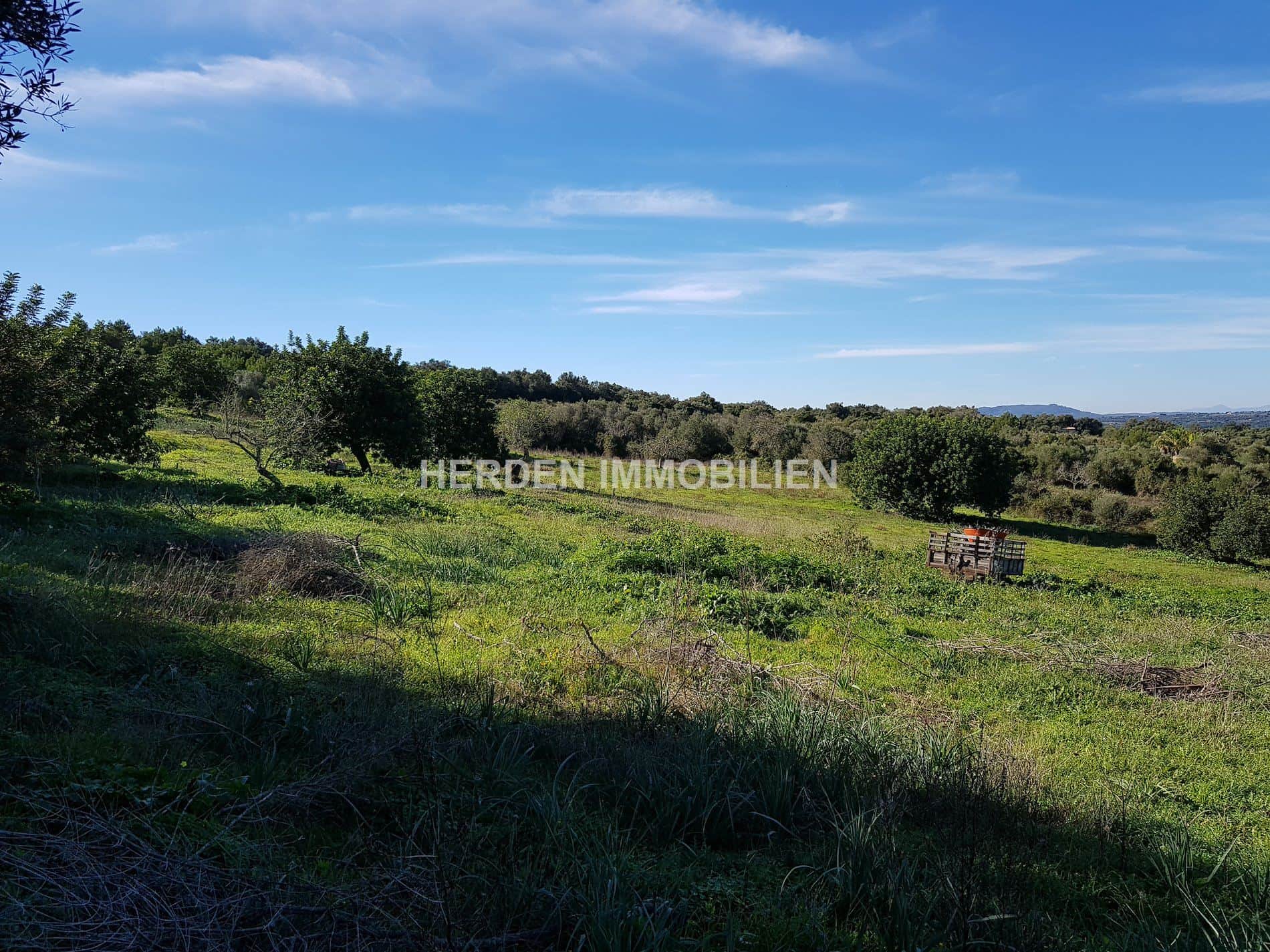 TERRENO EDIFICABLE EN VENTA EN MANACOR MALLORCA - Foto 1
