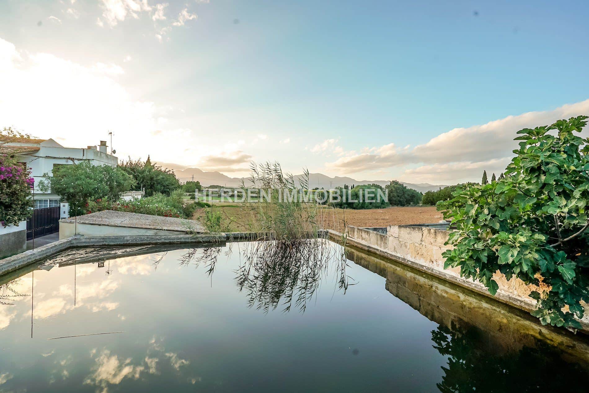 Amplio terreno edificable en venta en Muro, Mallorca - Foto 4