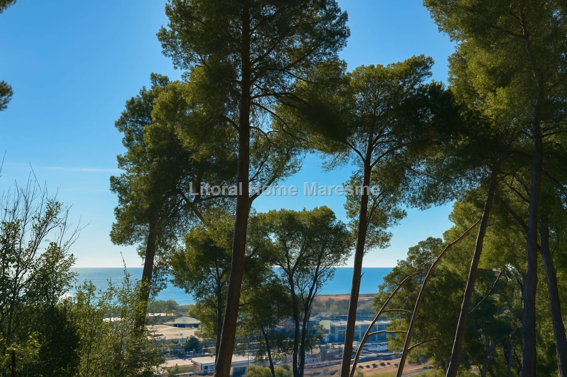 Terreno en venta en Santa Susanna - Foto 4