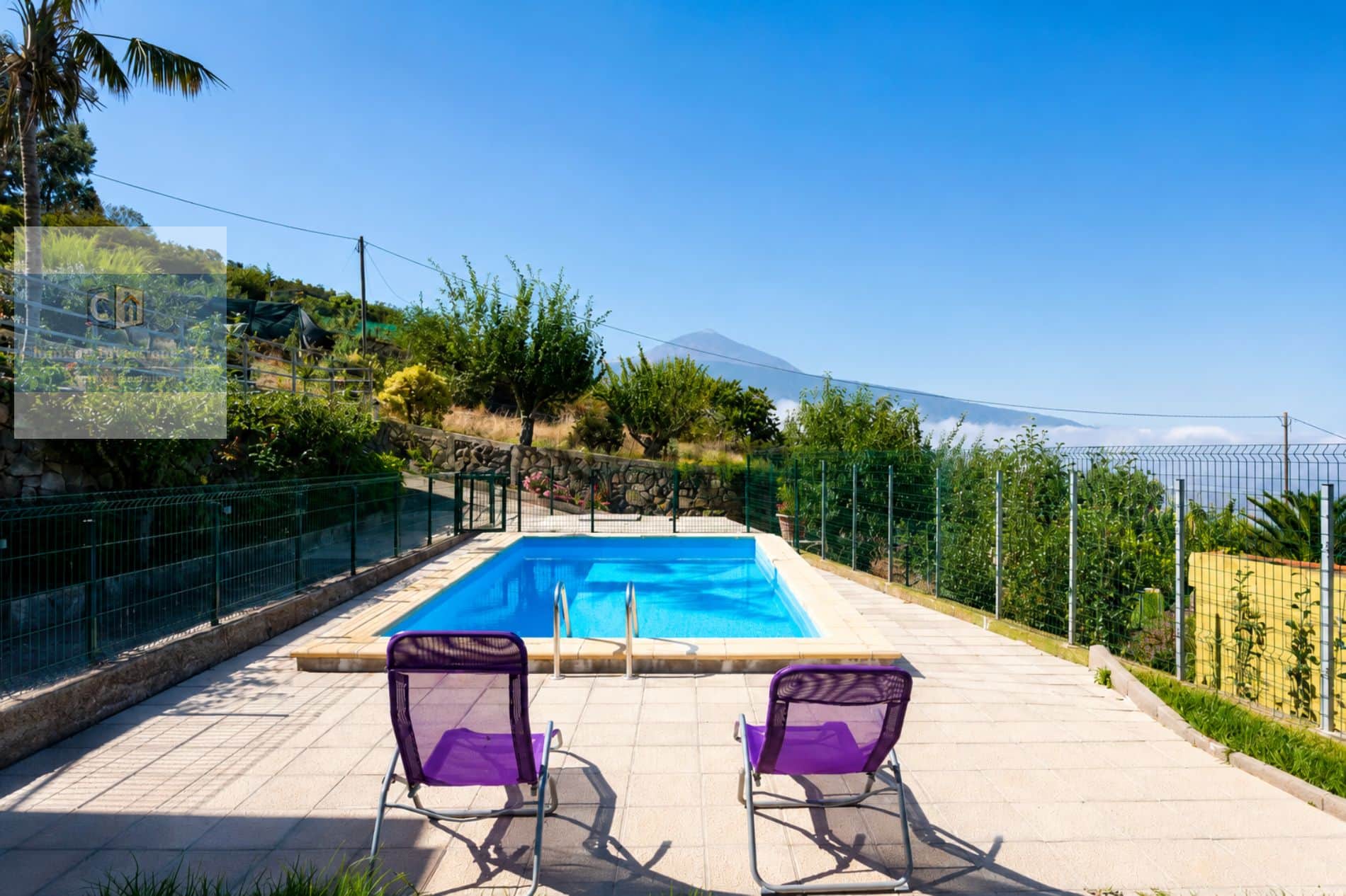 Finca for sale in Santa Ursula - Foto 4