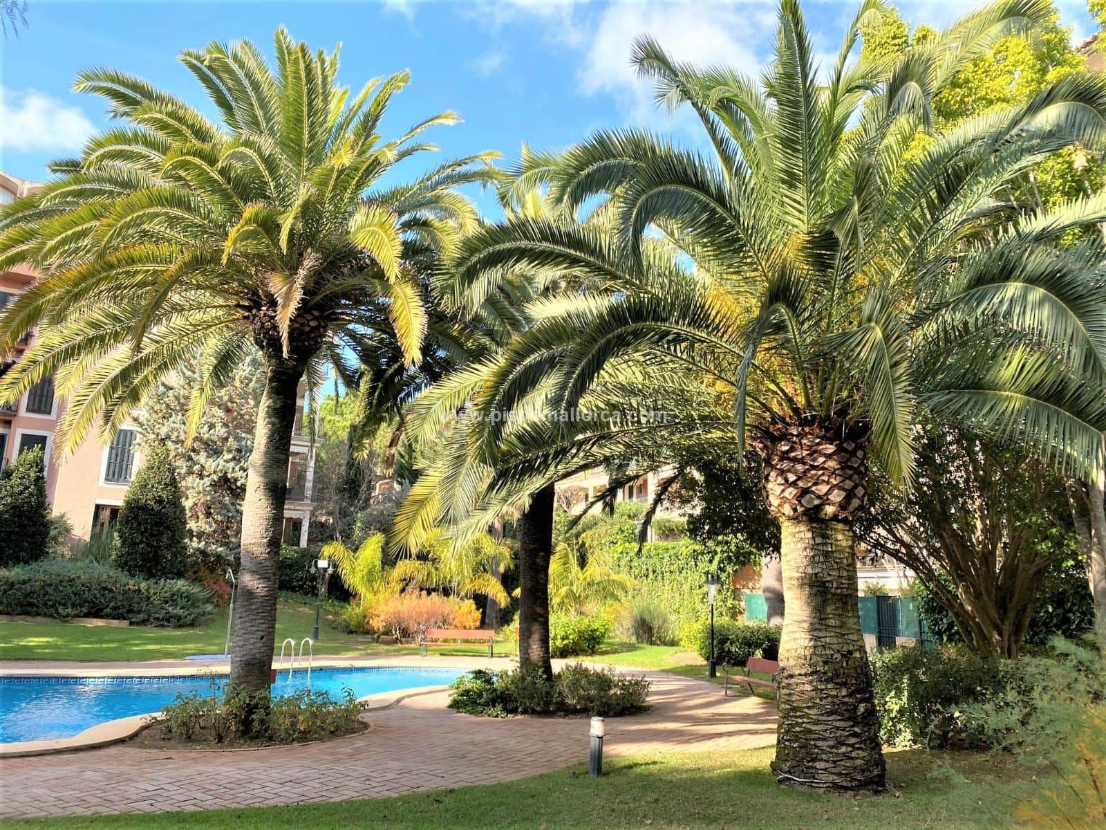 Piso - Sa Teulera, Palma De Mallorca - Foto 2