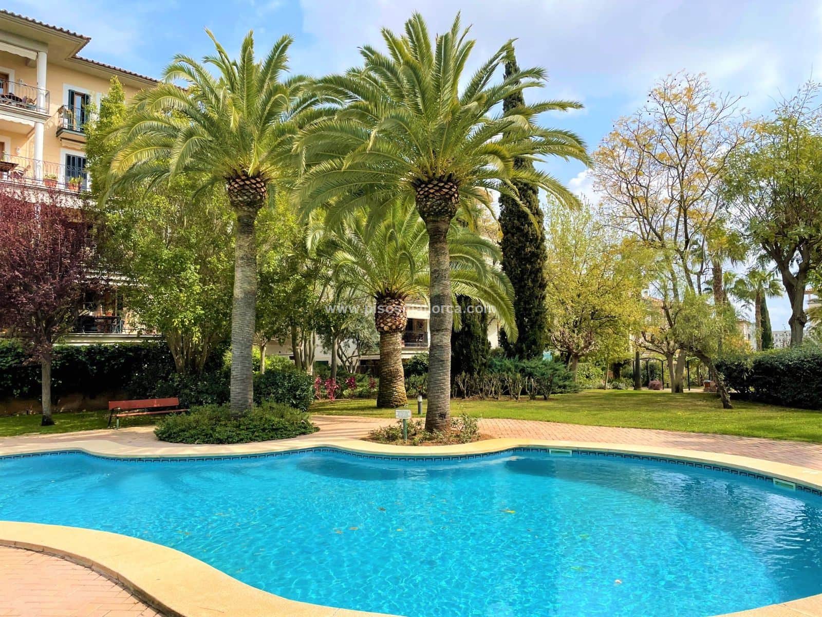 Piso - Sa Teulera, Palma De Mallorca - Foto 1