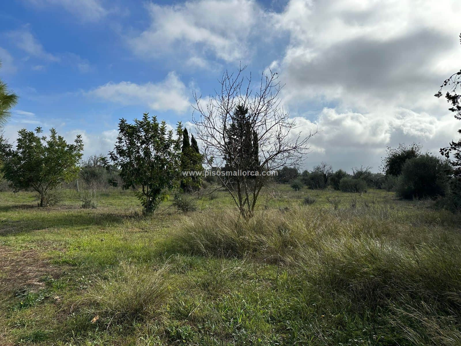 Terreno - Poligono Son Llaut, Santa Maria - Foto 2
